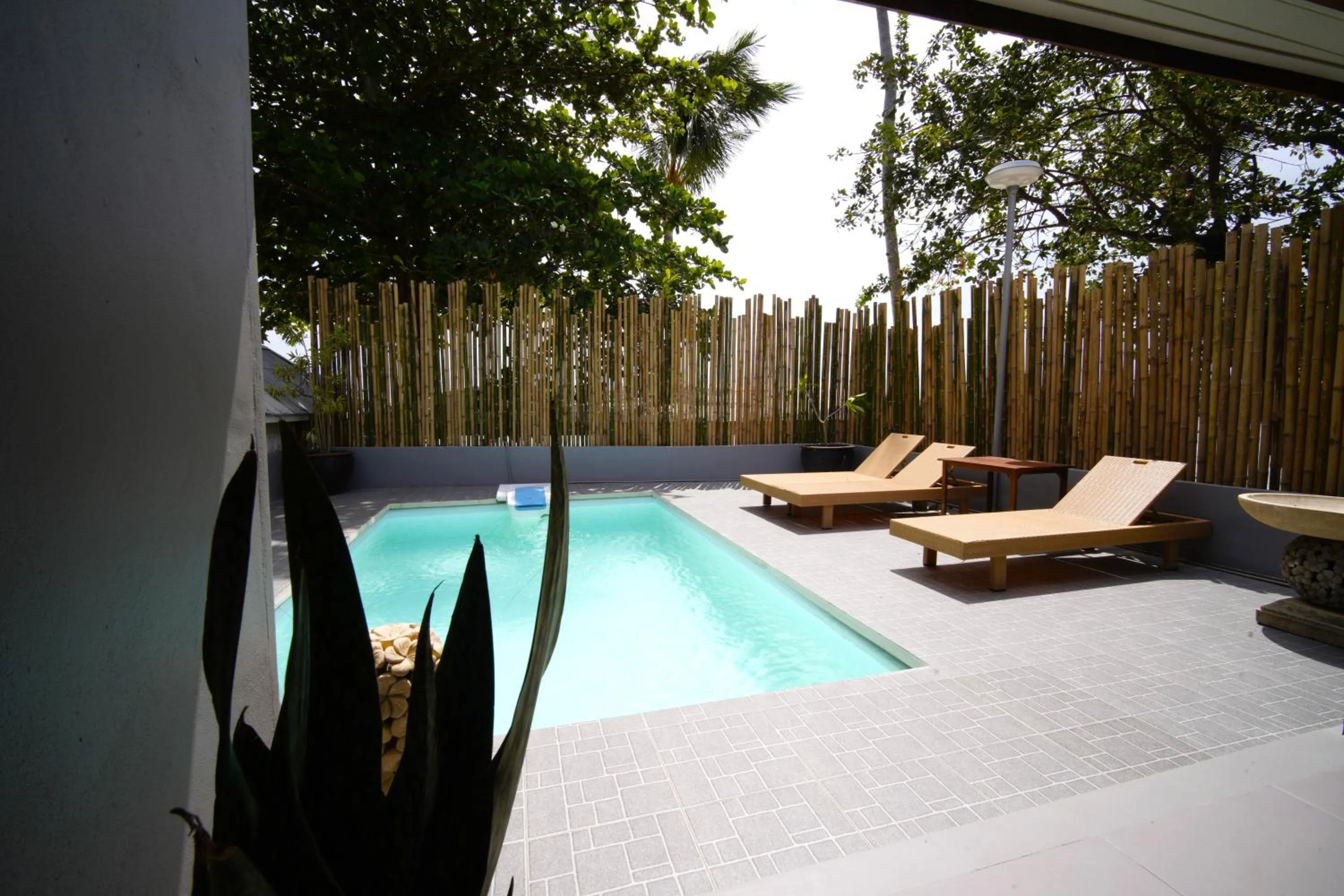 Swimming pool in Villa Cha-Cha Salad Beach Koh Phangan