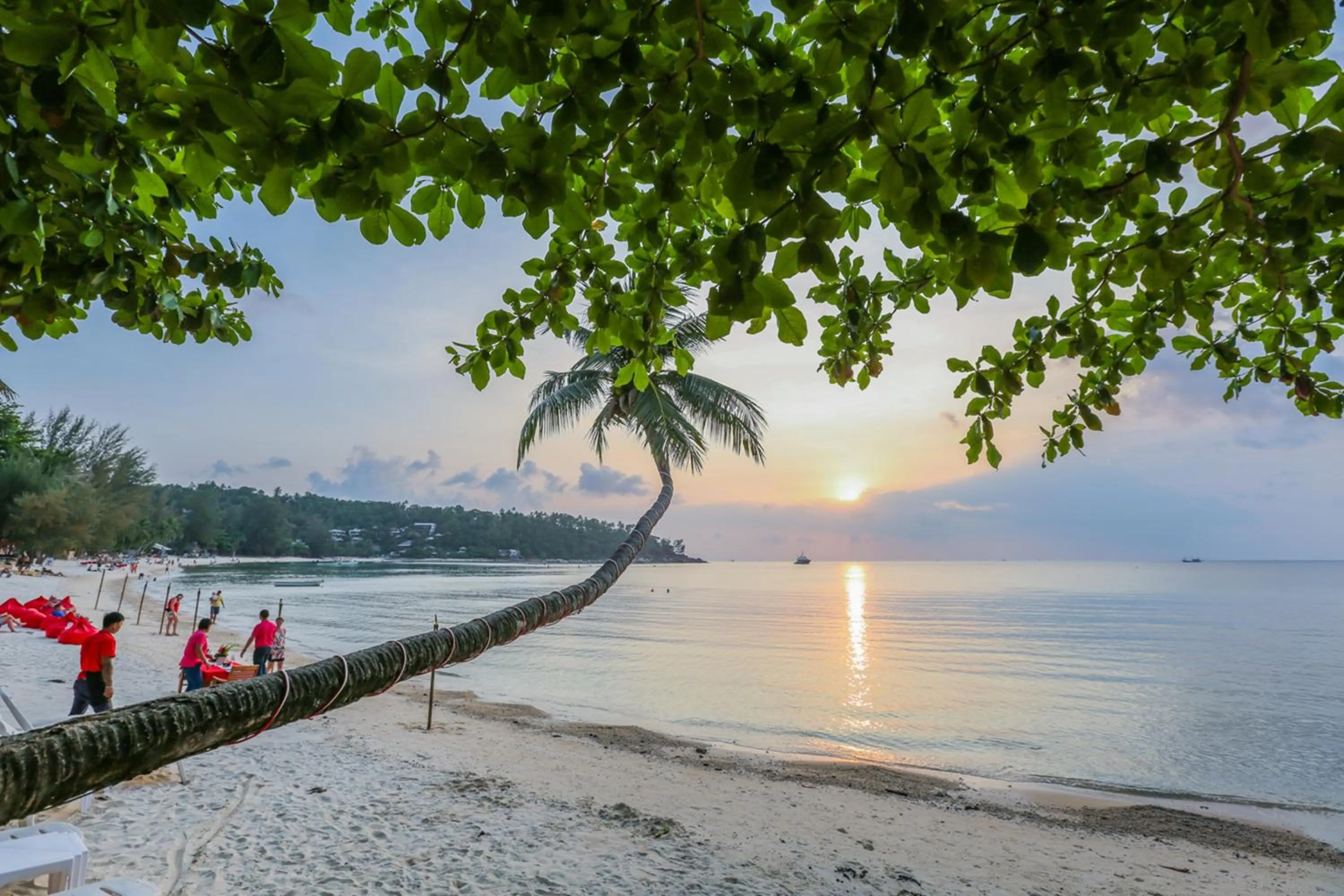 Natural landscape in Villa Cha-Cha Salad Beach Koh Phangan