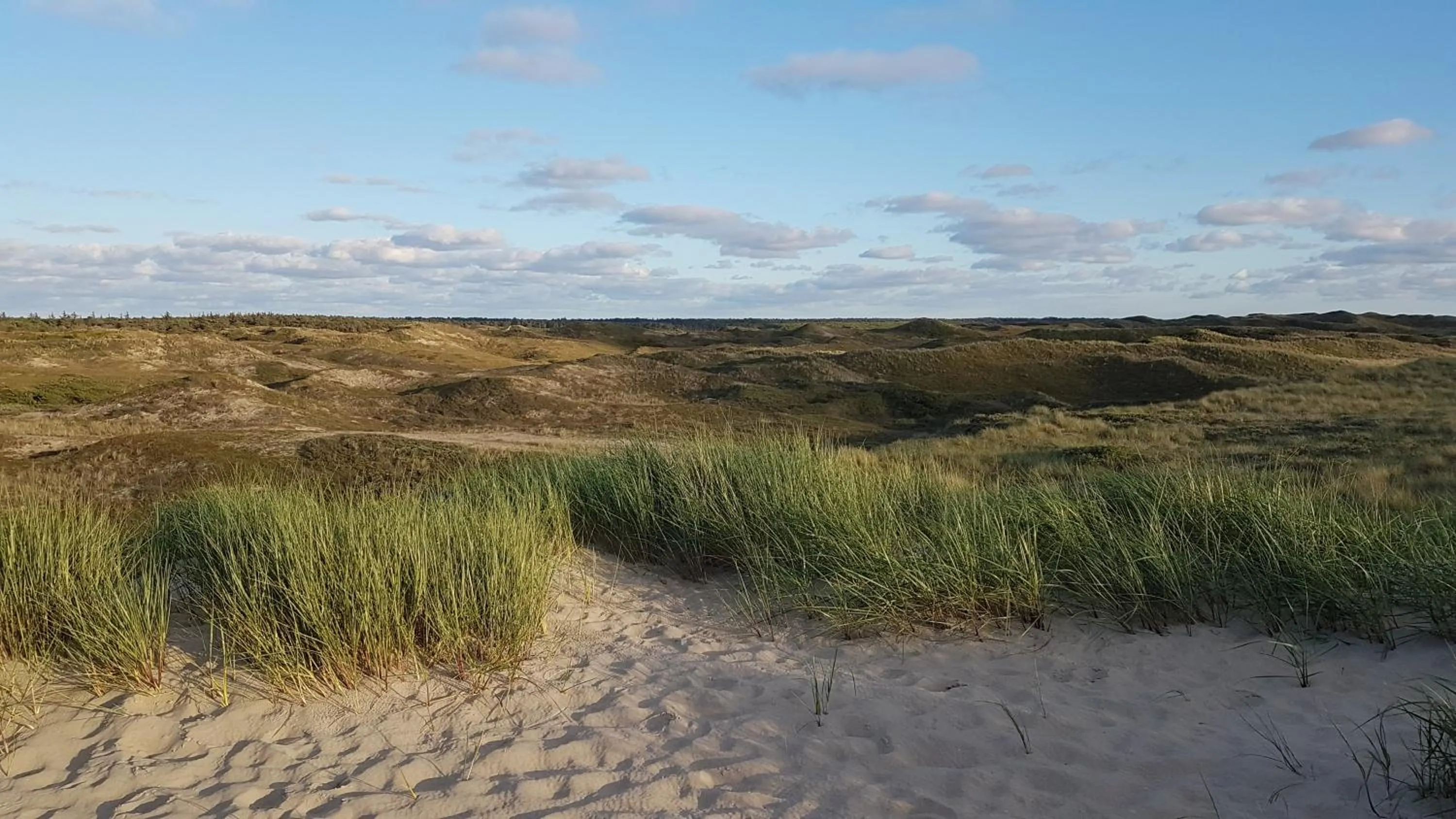Nearby landmark in Hotel Den Burg