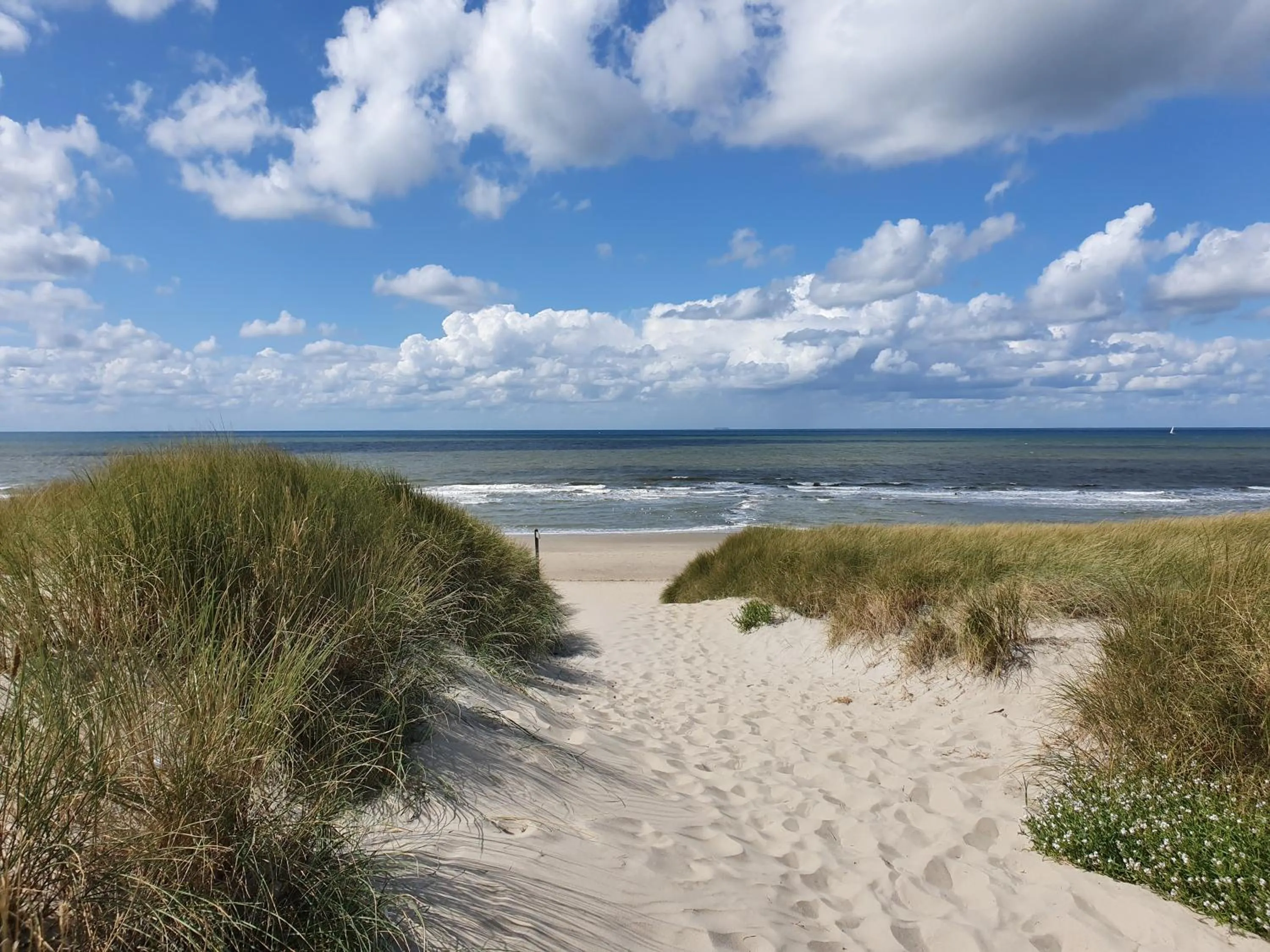 Nearby landmark in Hotel Den Burg
