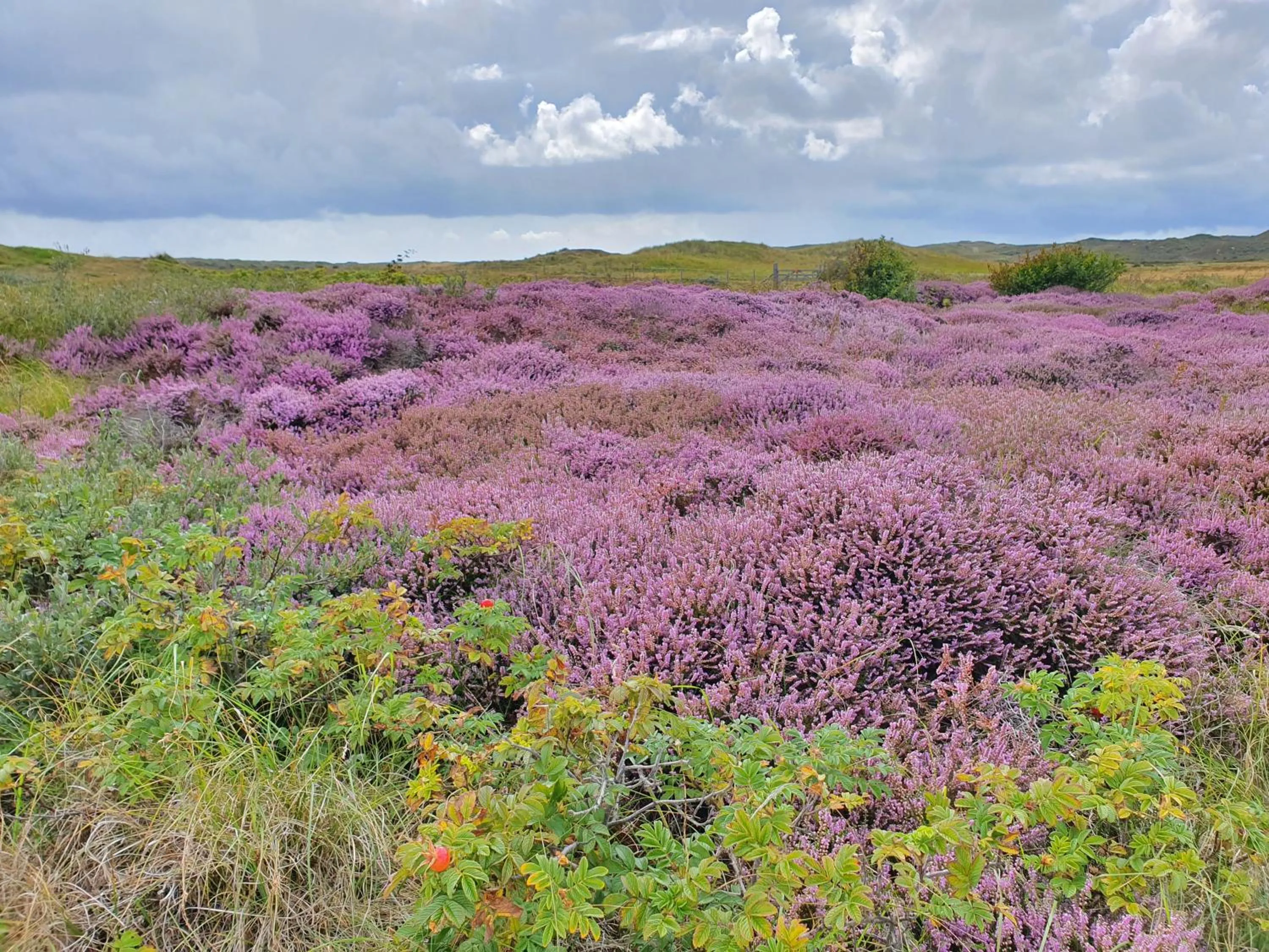 Spring in Hotel Den Burg