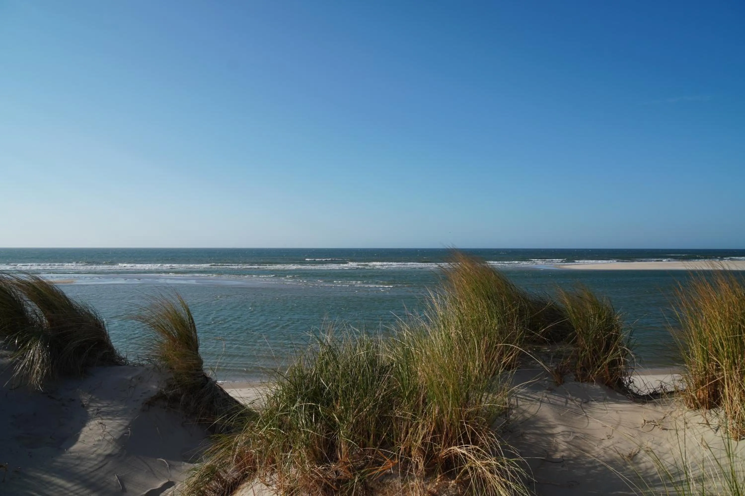 Nearby landmark in Hotel Den Burg