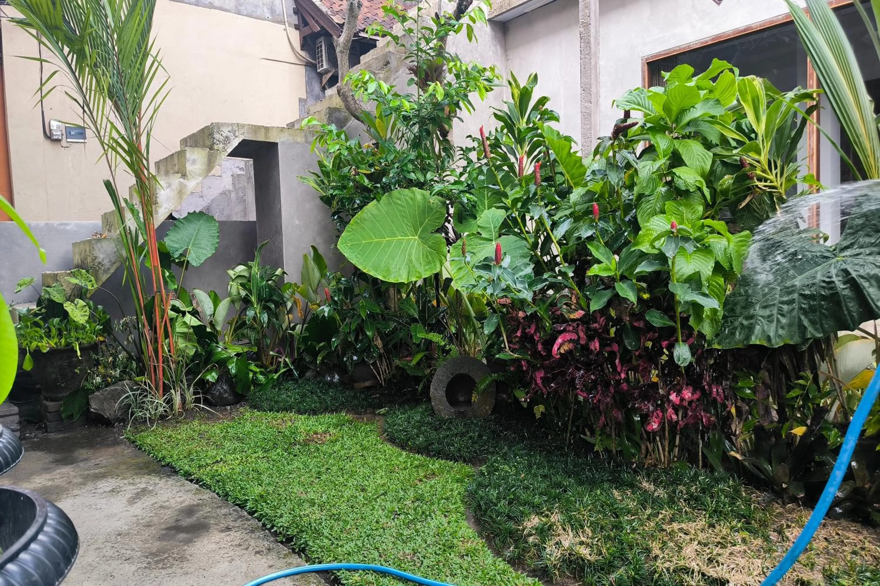 Garden view in Bhuana Shanti Homestay Ubud