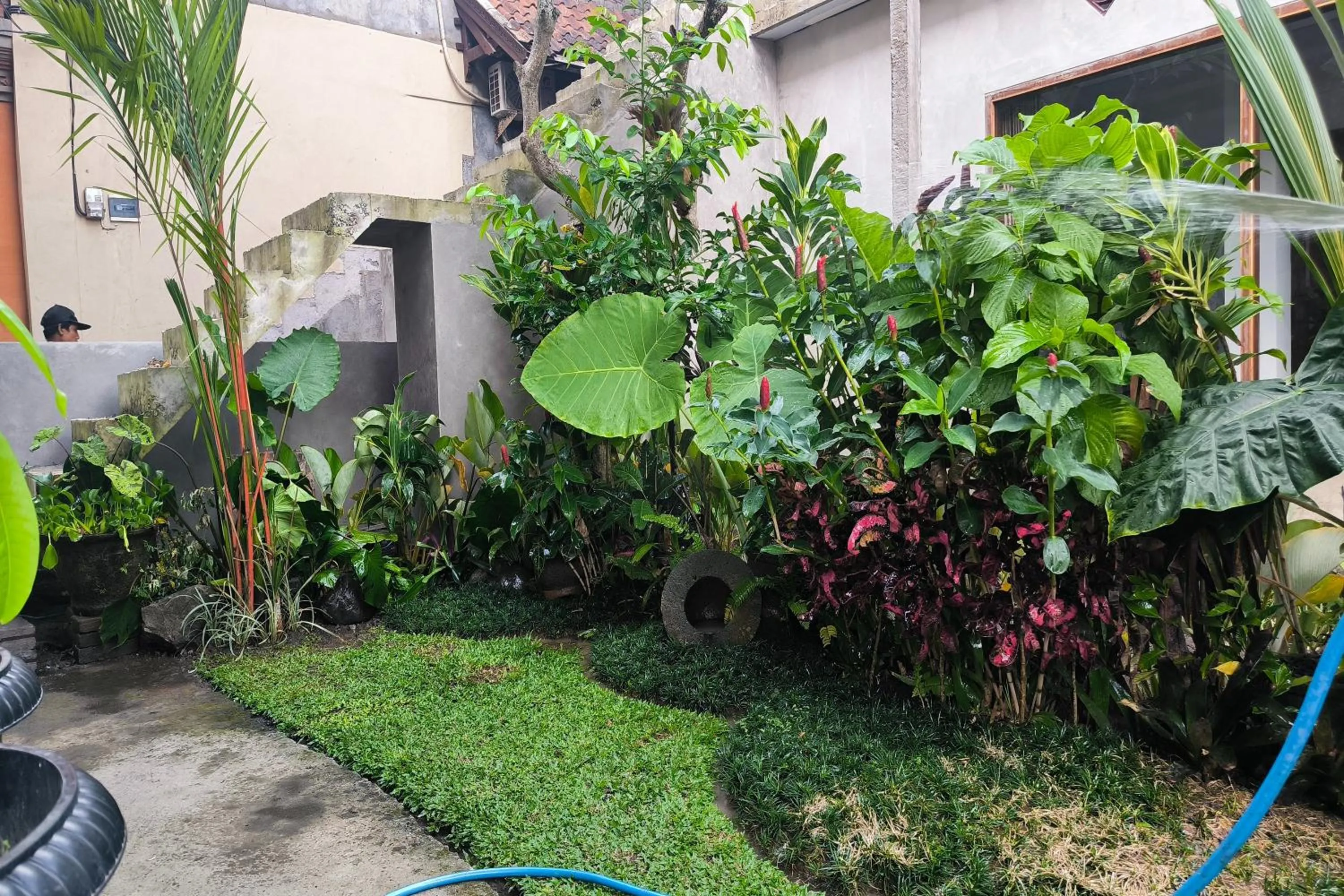 Garden in Bhuana Shanti Homestay Ubud