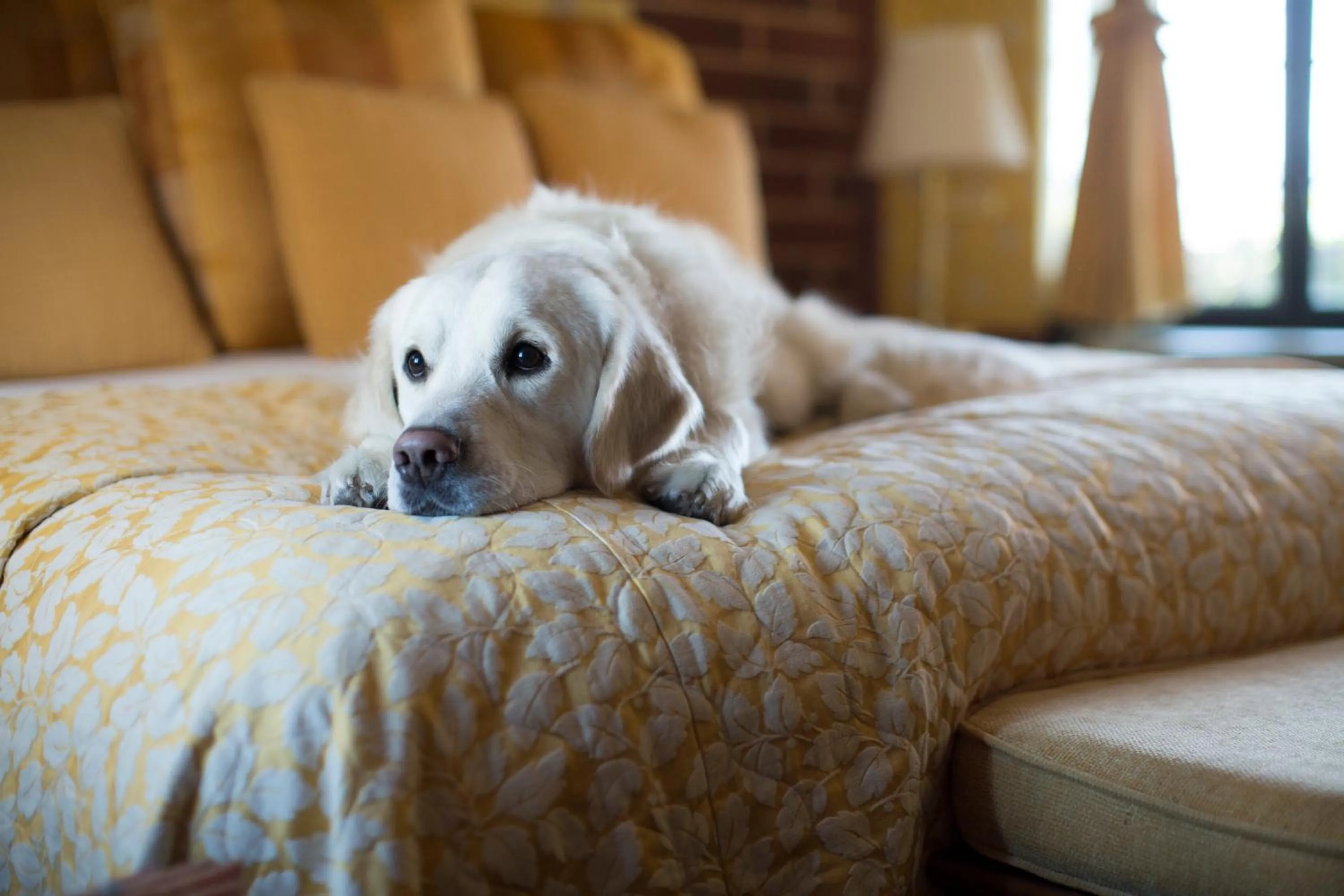 Other in Napa River Inn