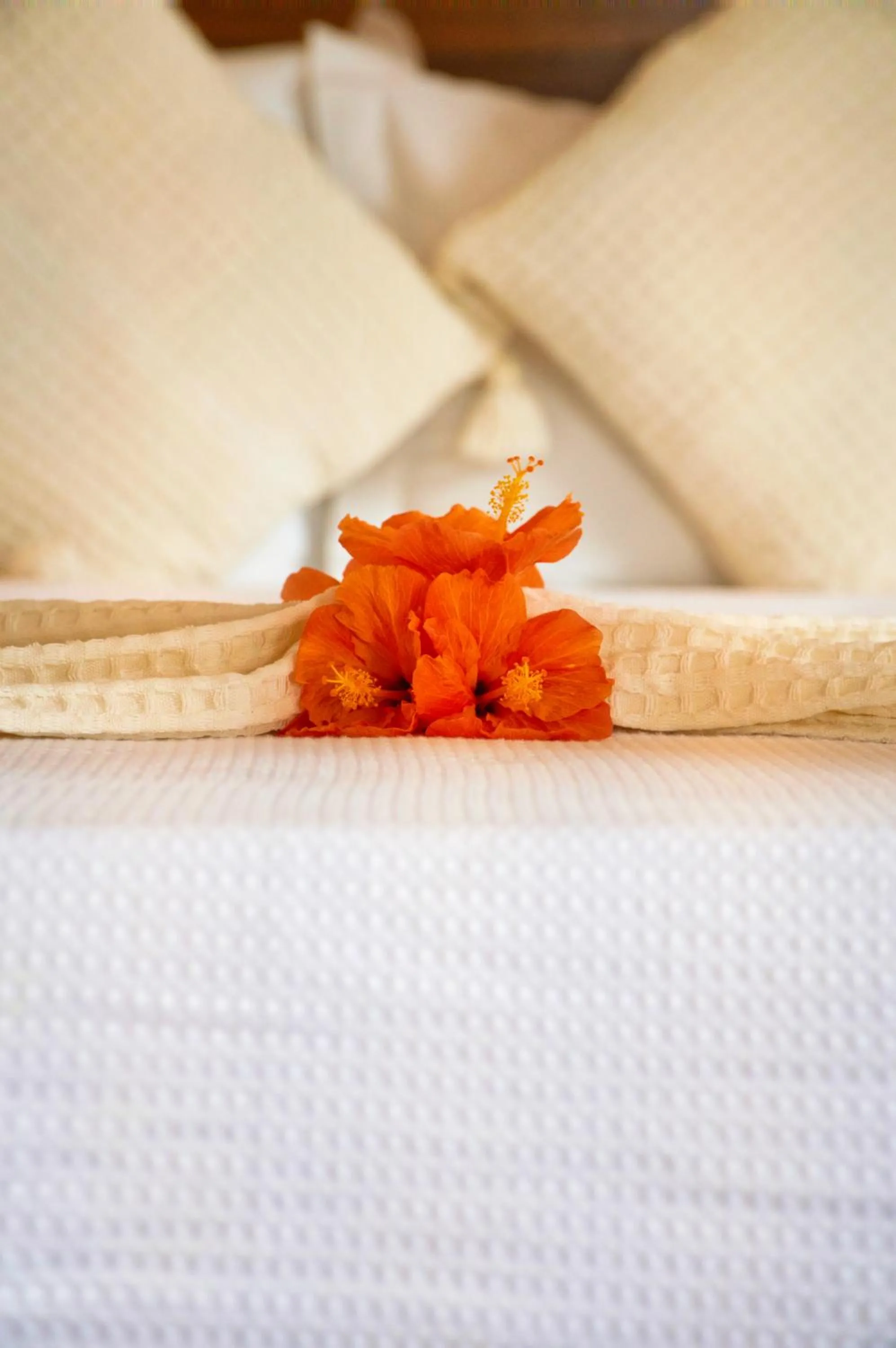 Bed in Pousada Caeira