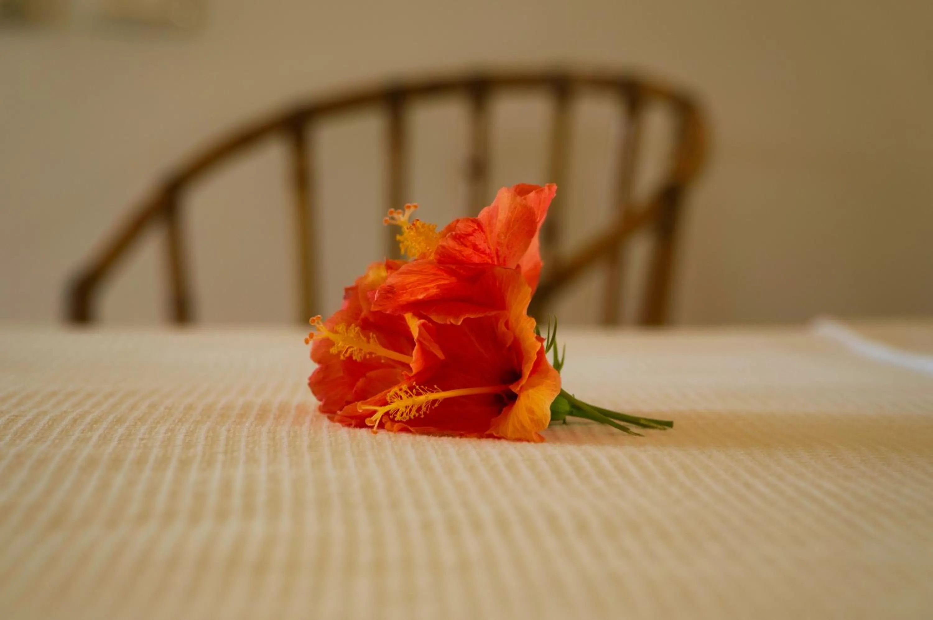 Bed in Pousada Caeira
