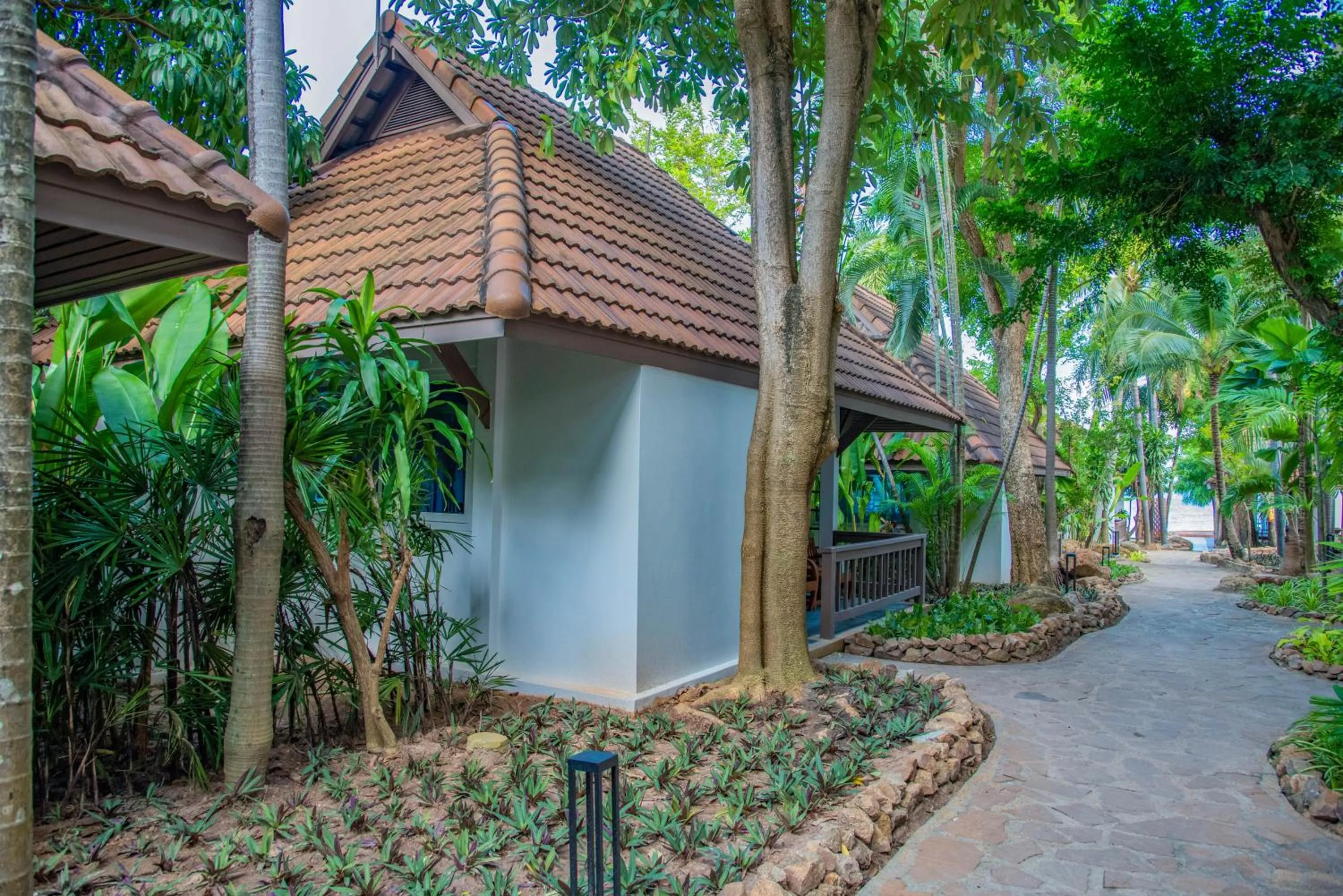 View (from property/room) in Samui Natien Resort