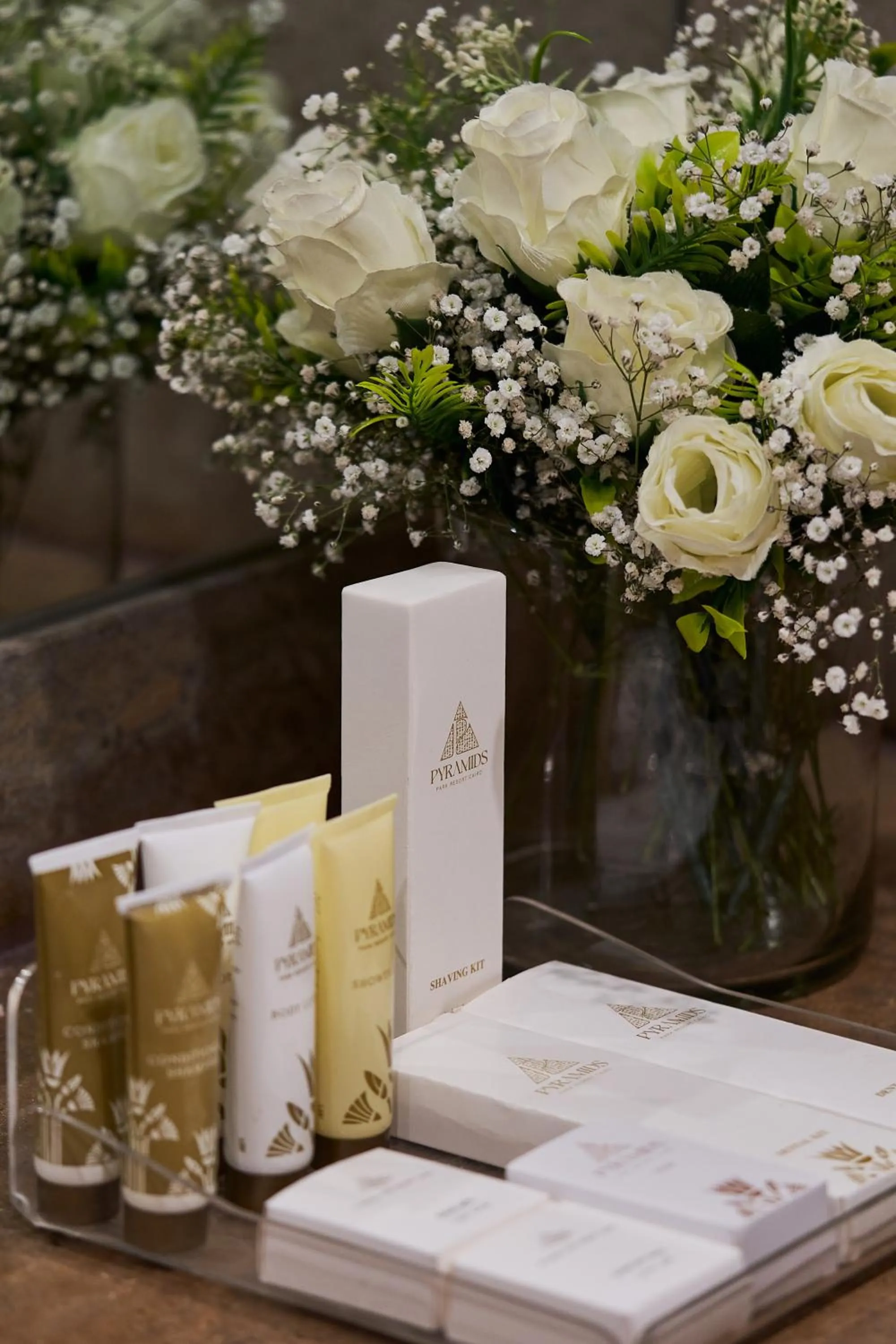 Pyramids Park Resort Cairo