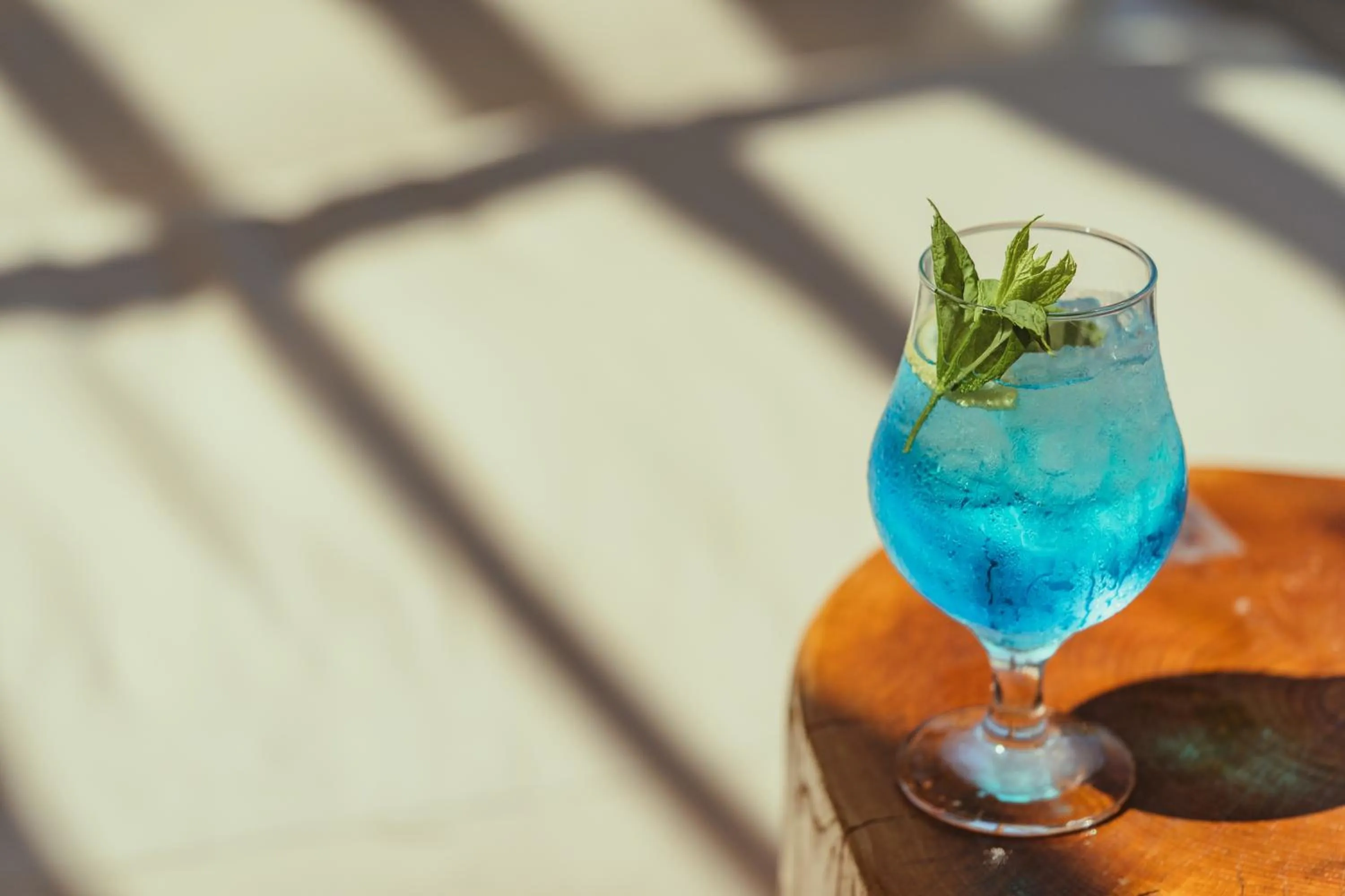 Lounge or bar in Penelope Village