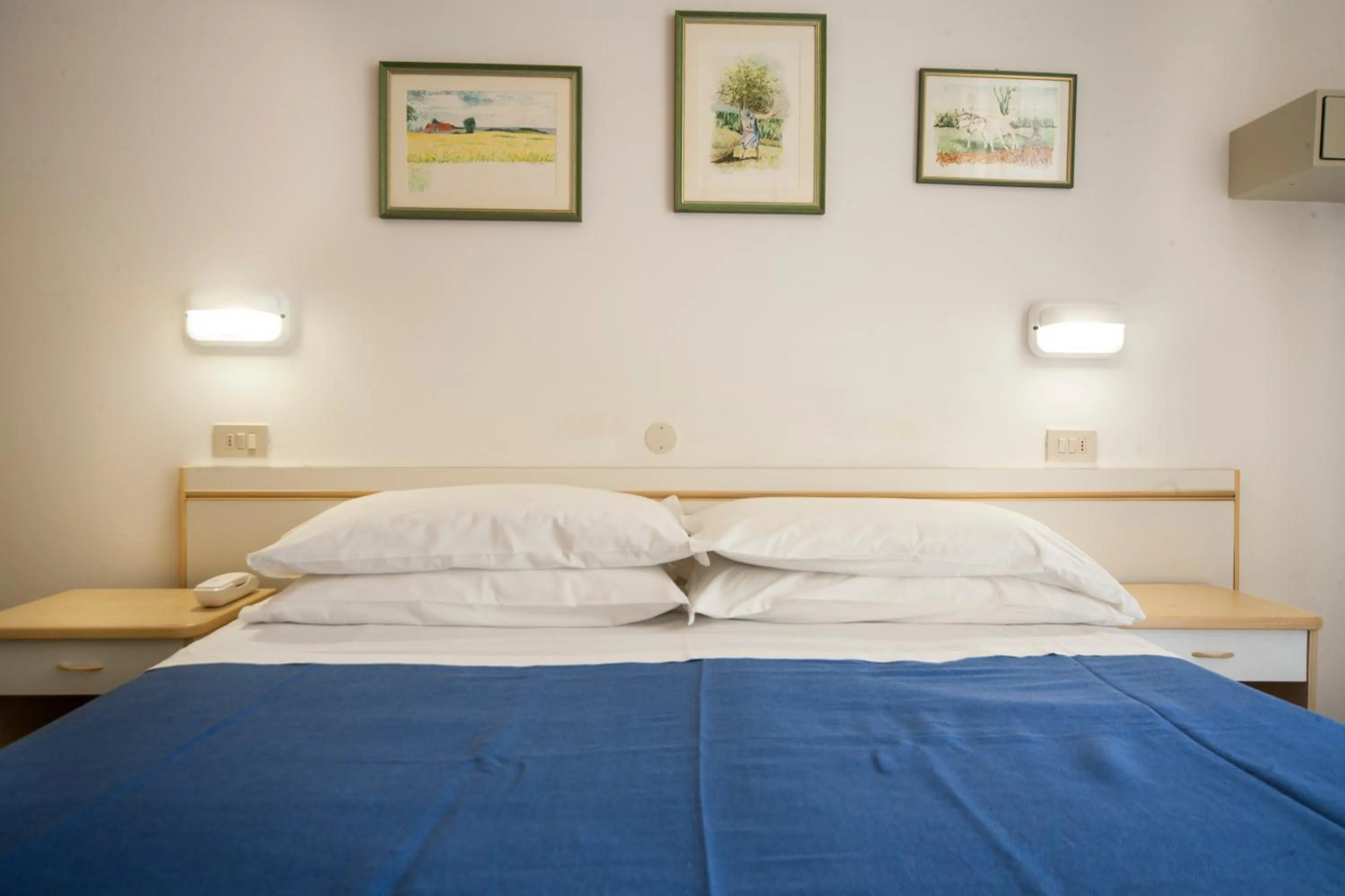 Bed in Hotel Erika