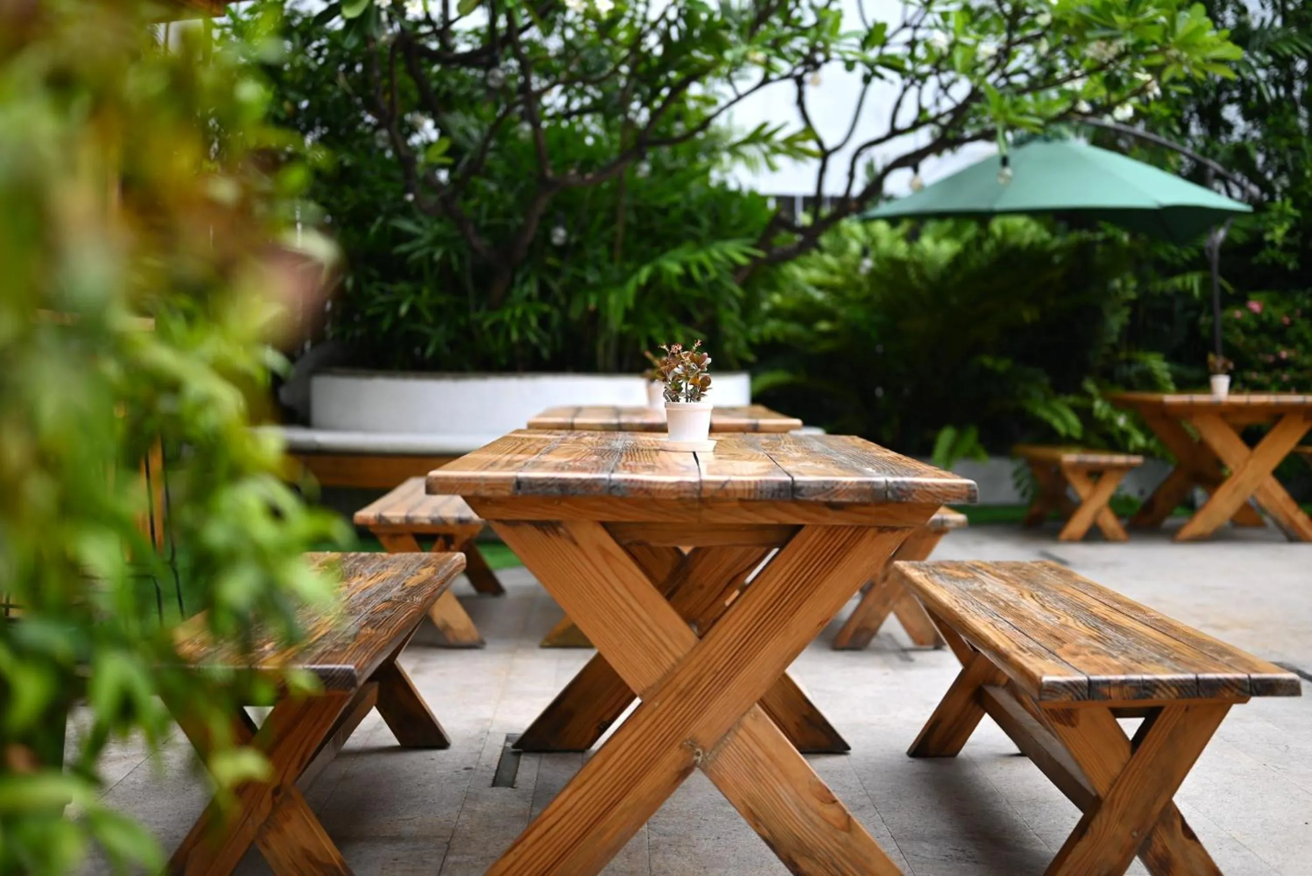 Garden in The Park Kolkata