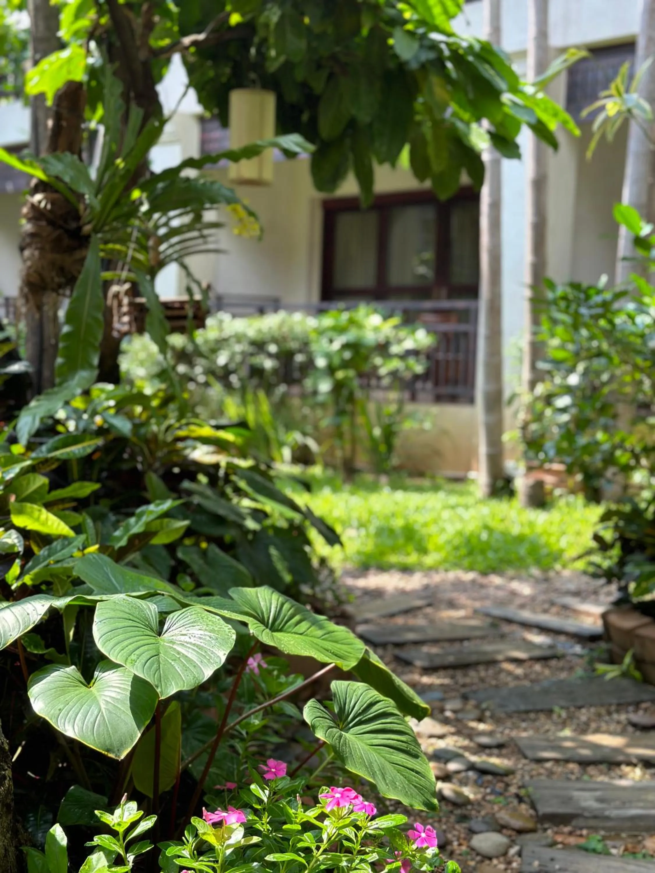 Garden in The Rim Chiang Mai