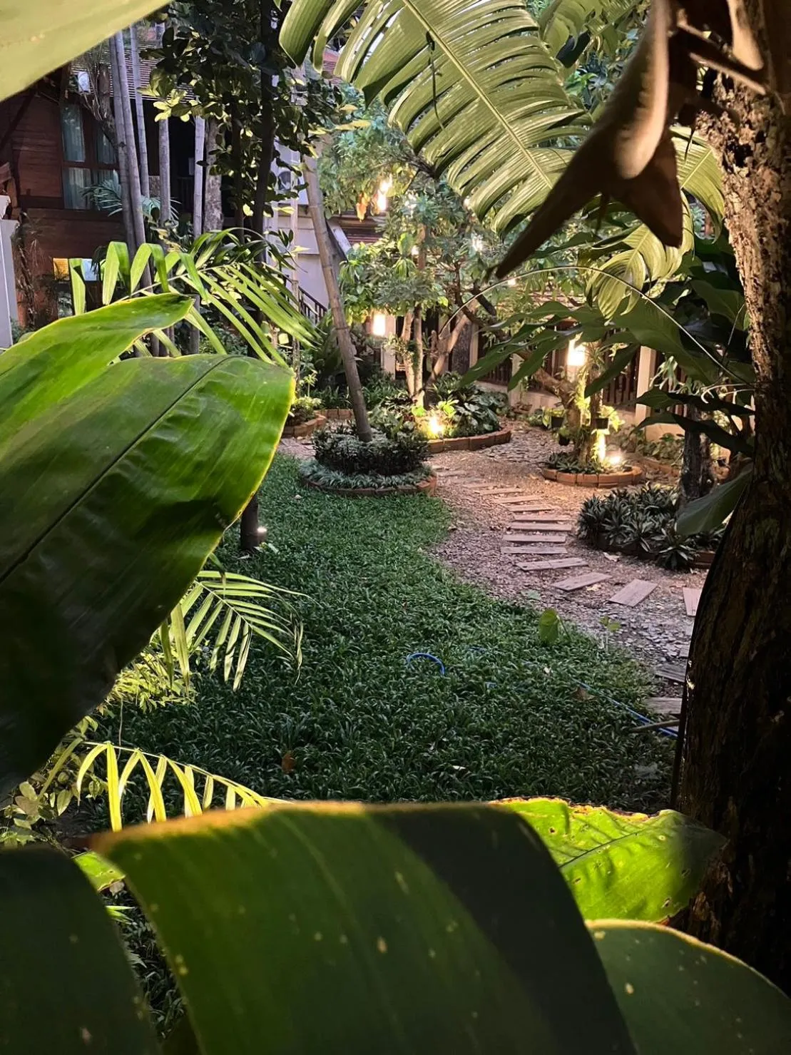 Garden in The Rim Chiang Mai