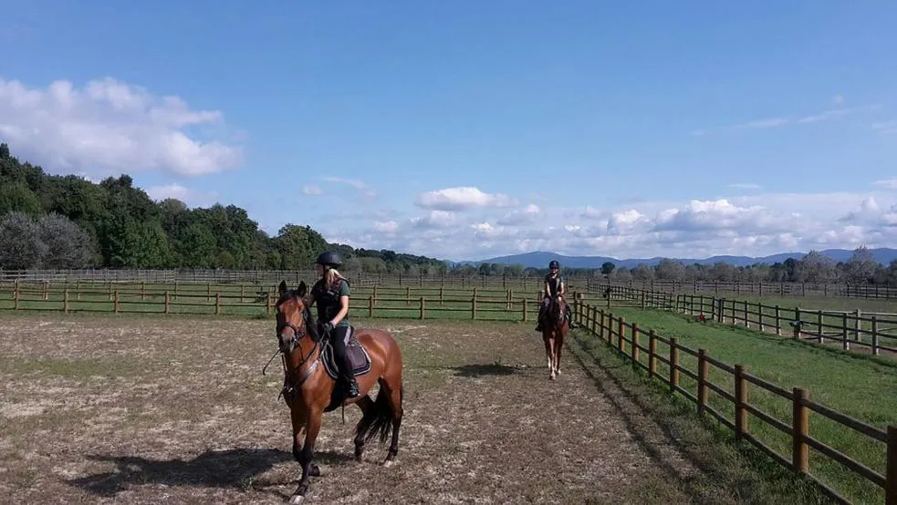 Horse-riding in Foresteria La Rubbianetta
