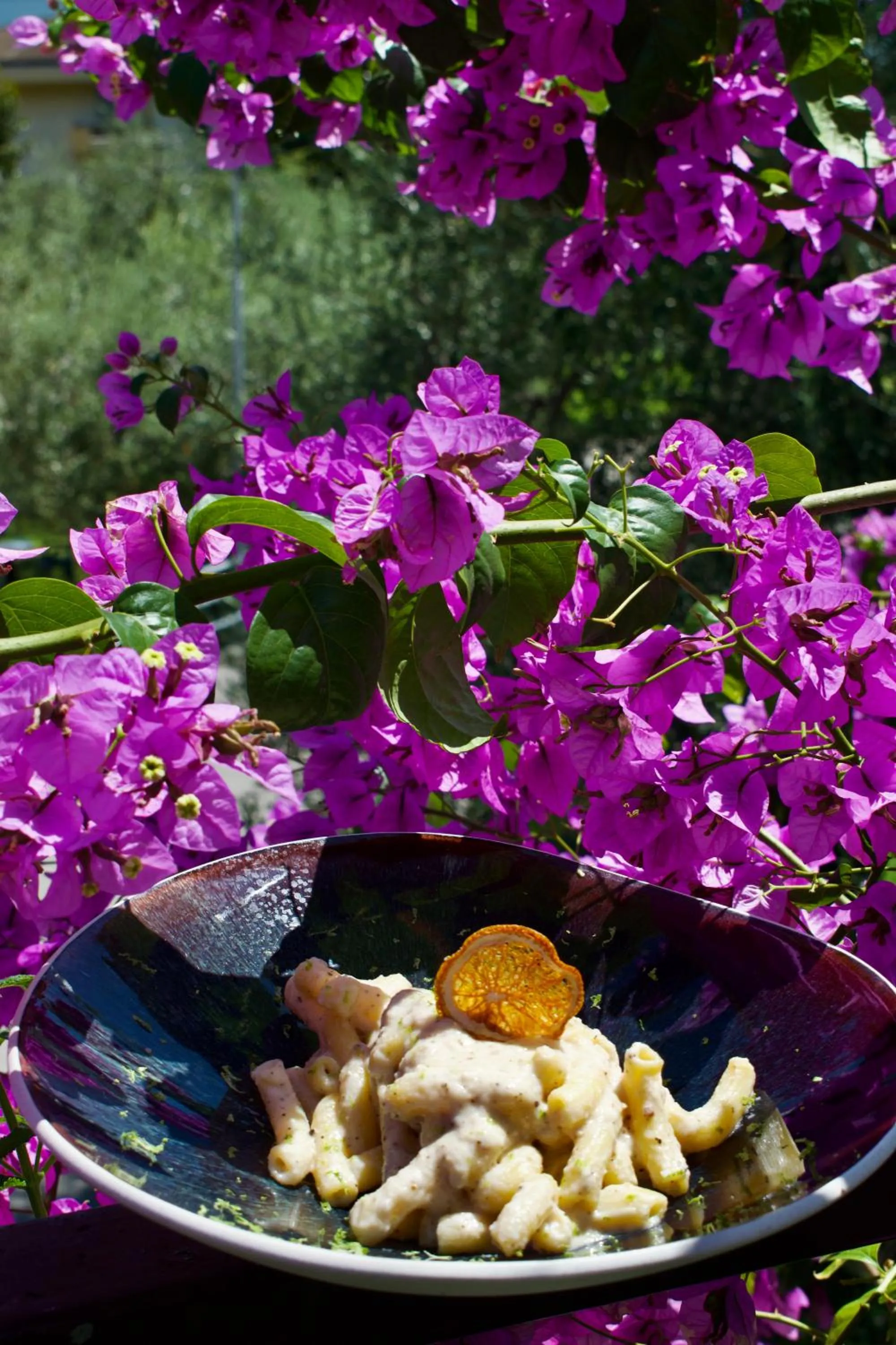 Restaurant/places to eat in Hotel Limone