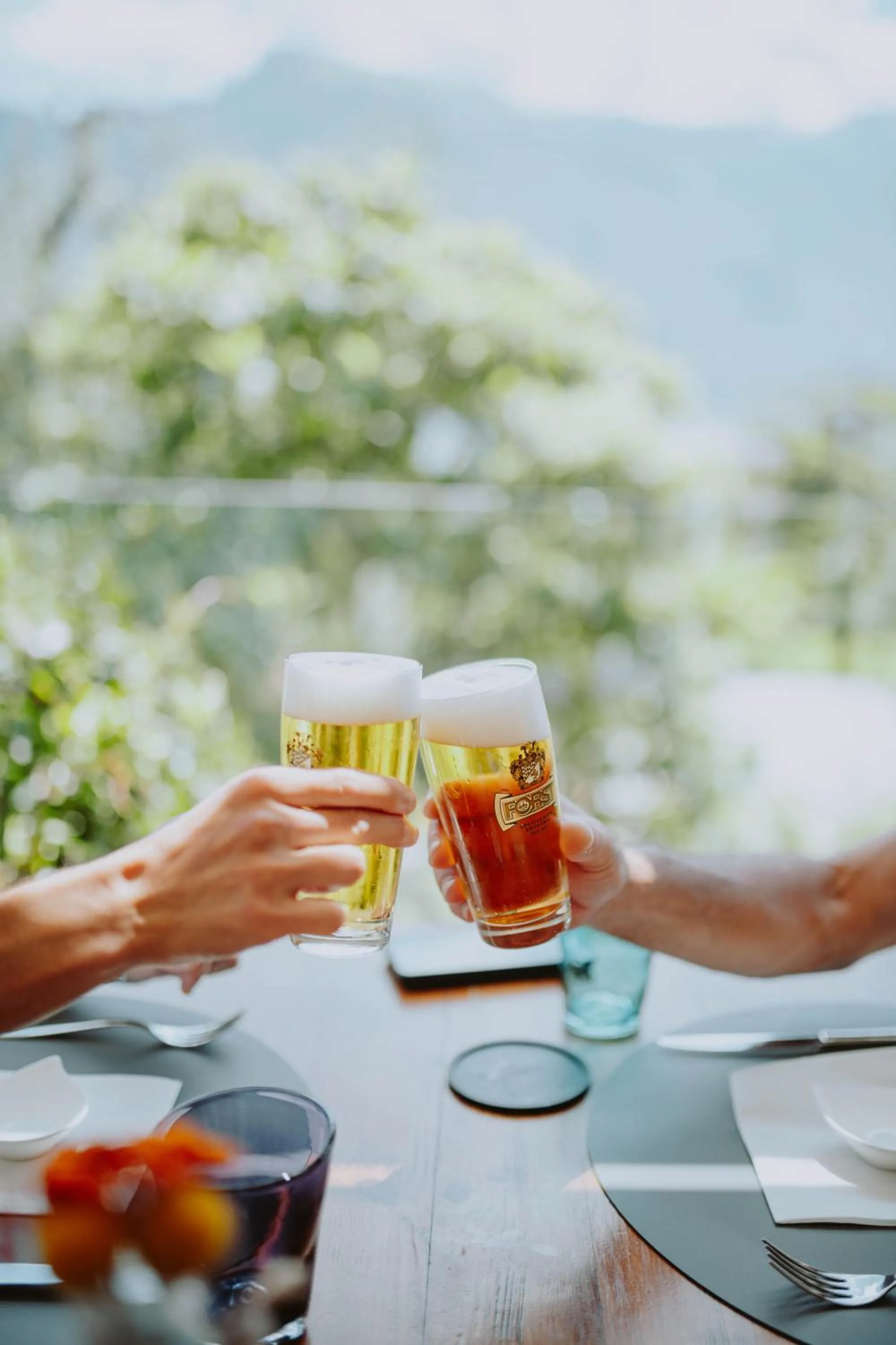 Food and drinks in Hotel Limone