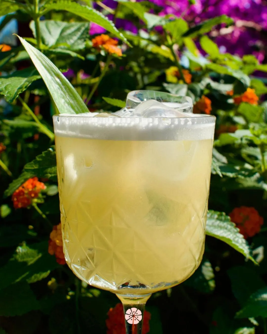 Restaurant/places to eat in Hotel Limone