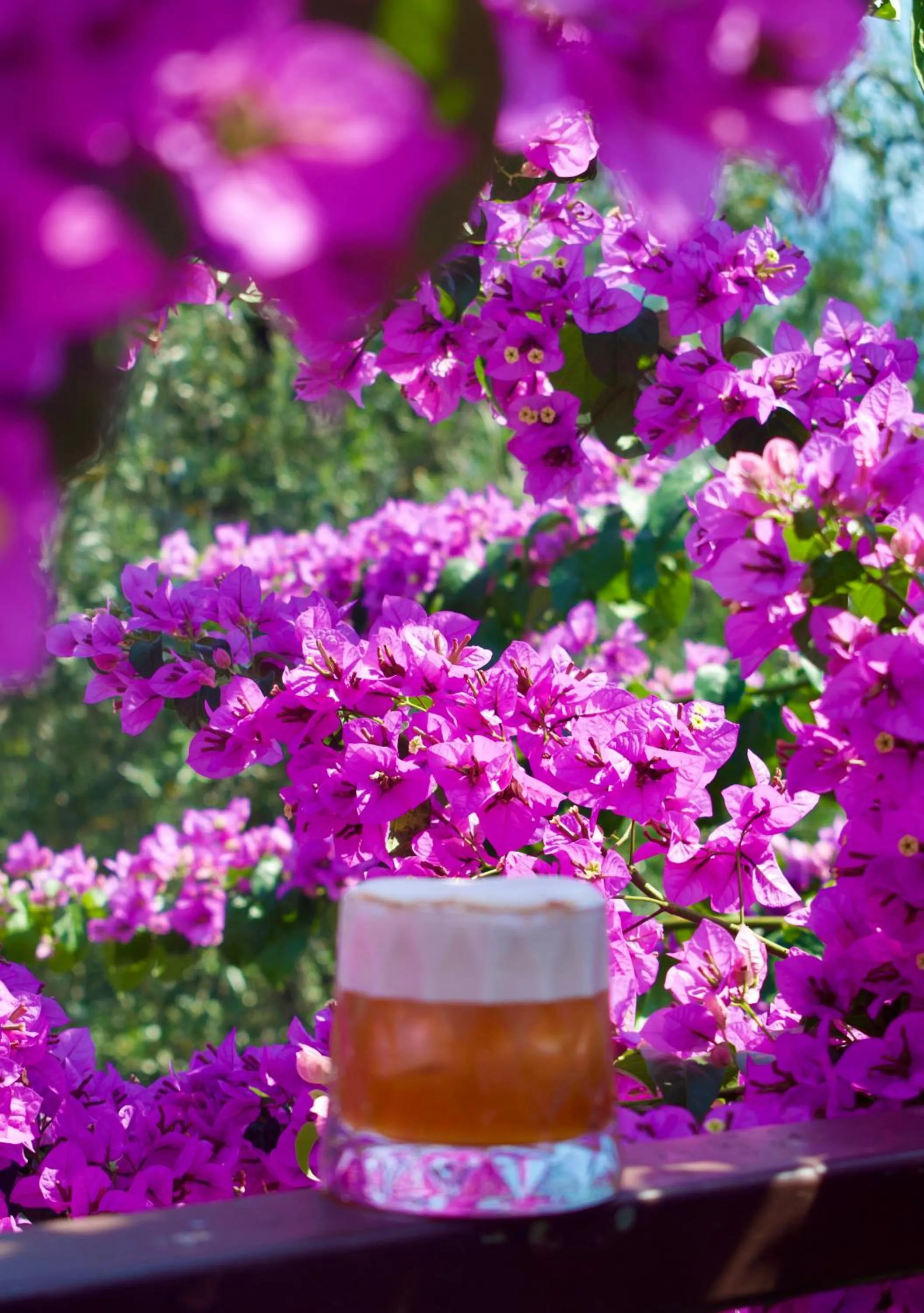 Spring in Hotel Limone