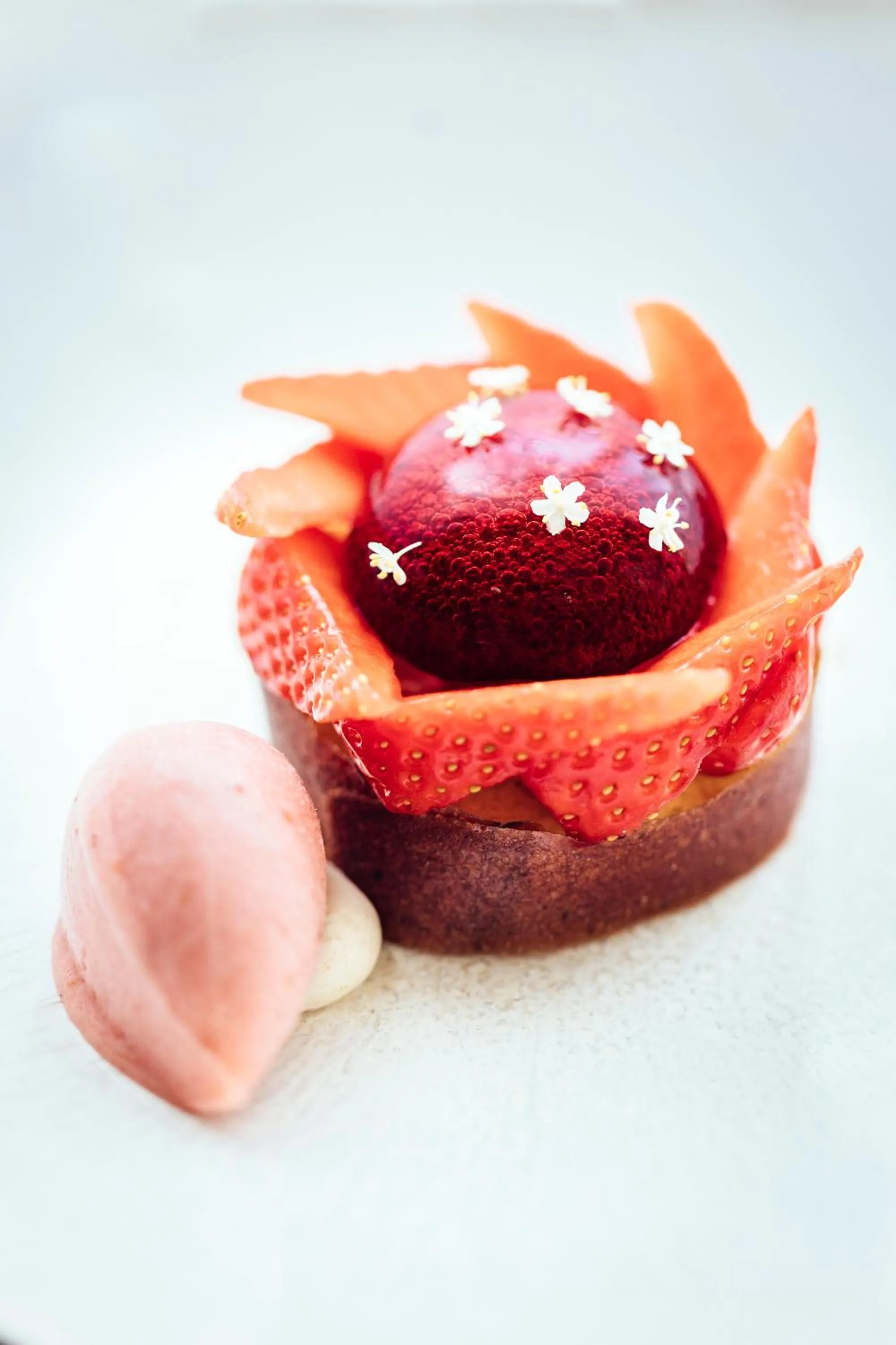 Dinner in Le Carré d'Alethius Logis Hôtel-Restaurant Gastronomique