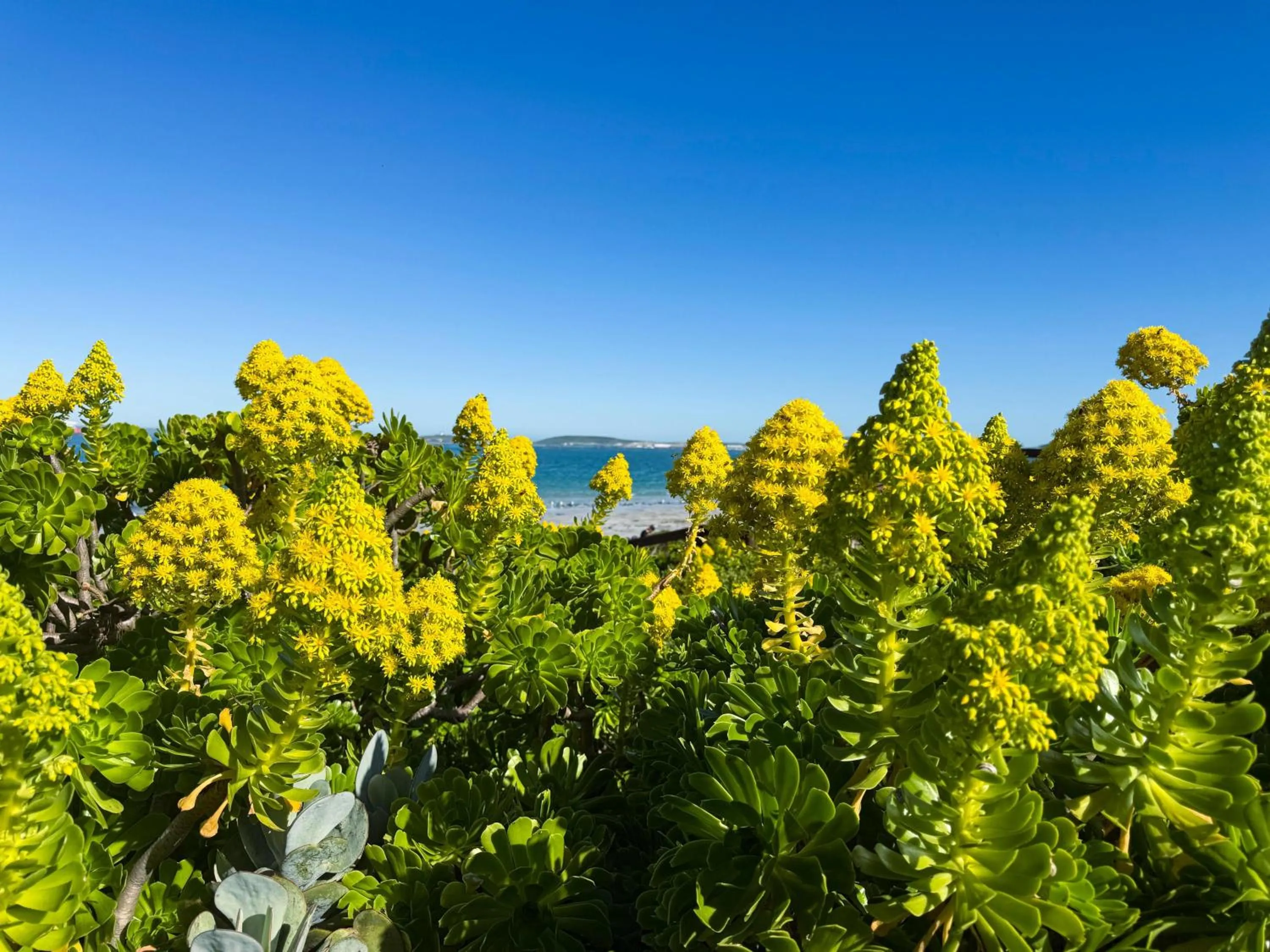 Spring in Blue Bay Lodge