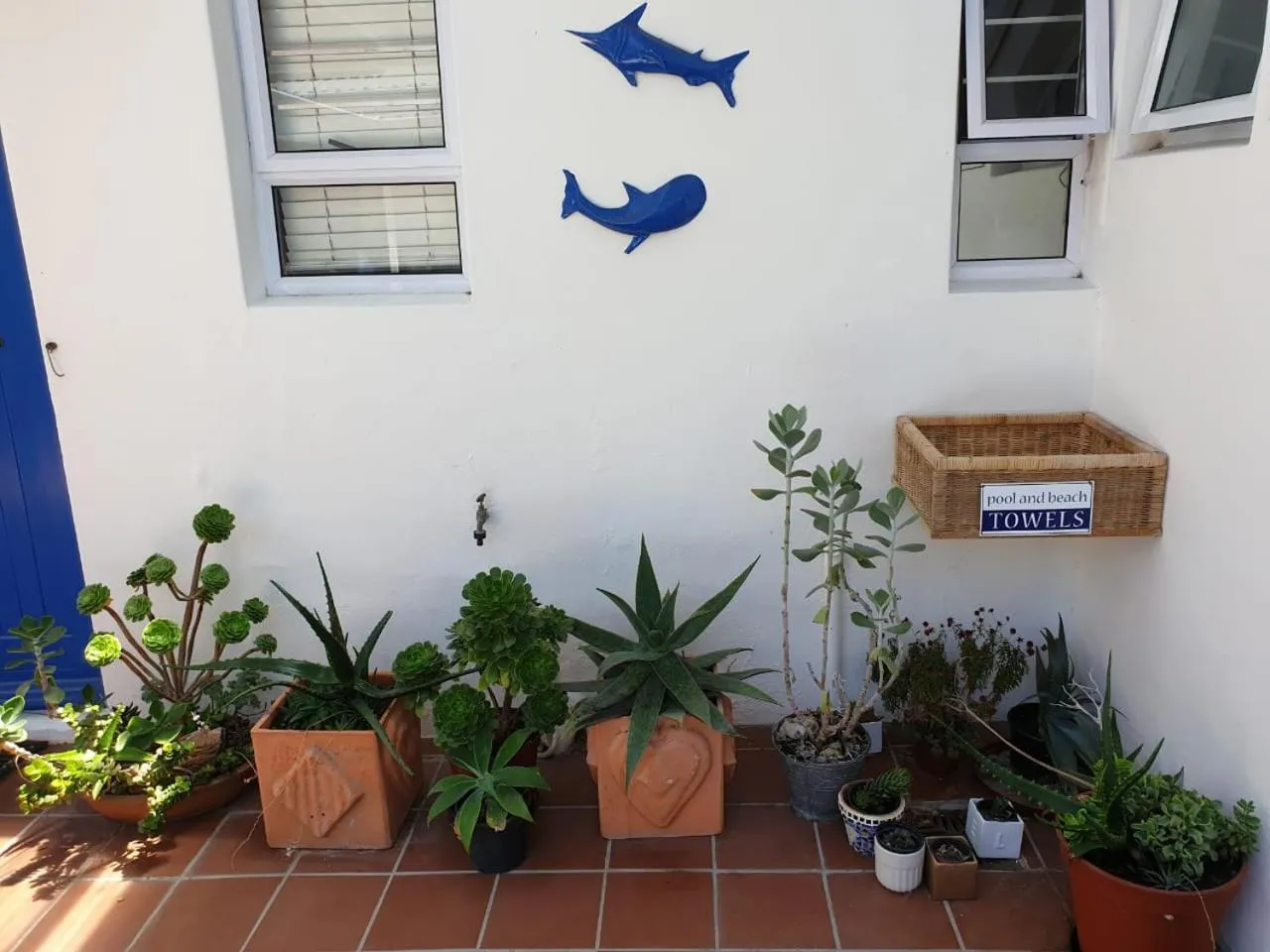 Property building in BlueSky Arniston Guest House