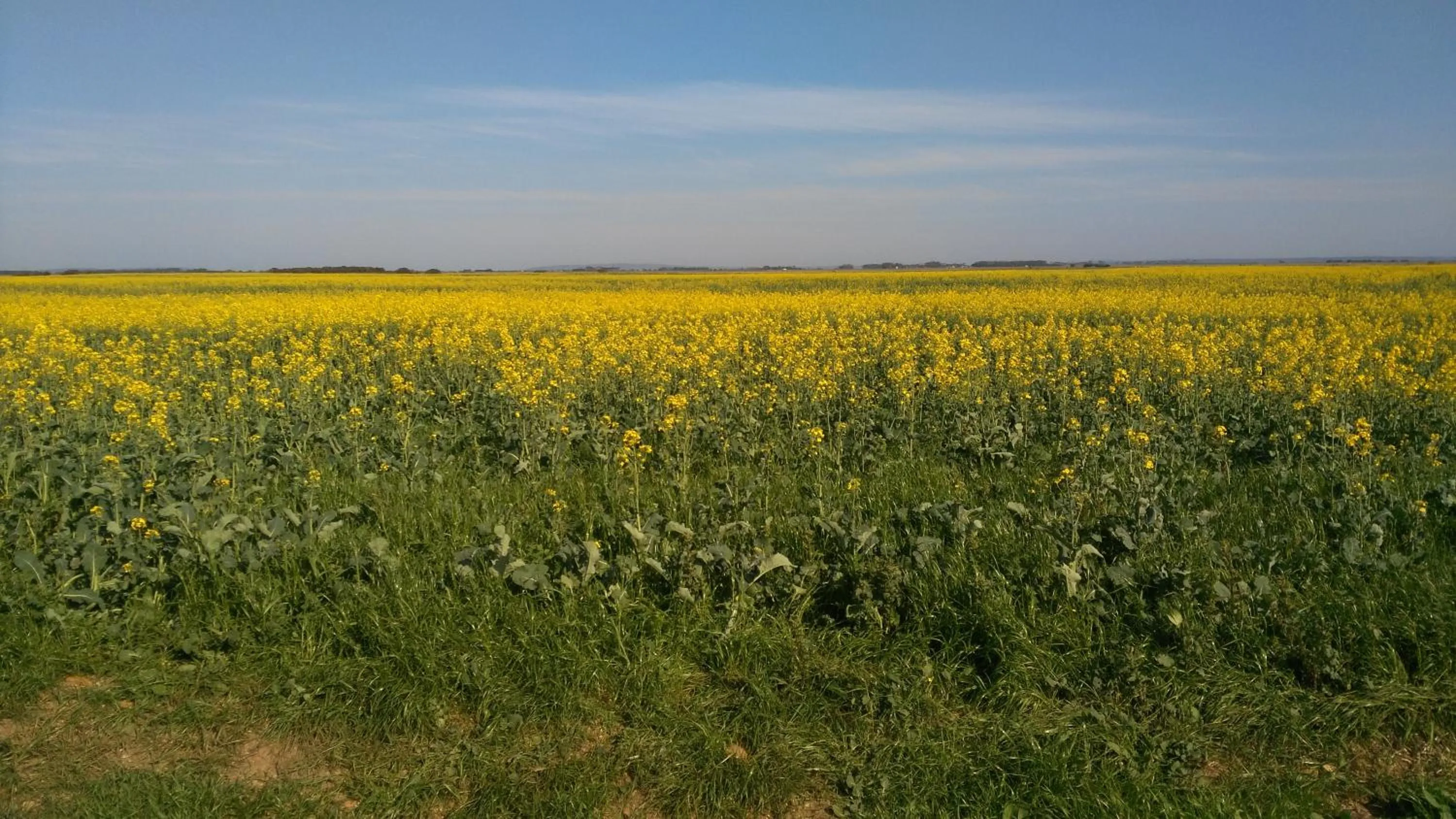 Spring in BlueSky Arniston Guest House