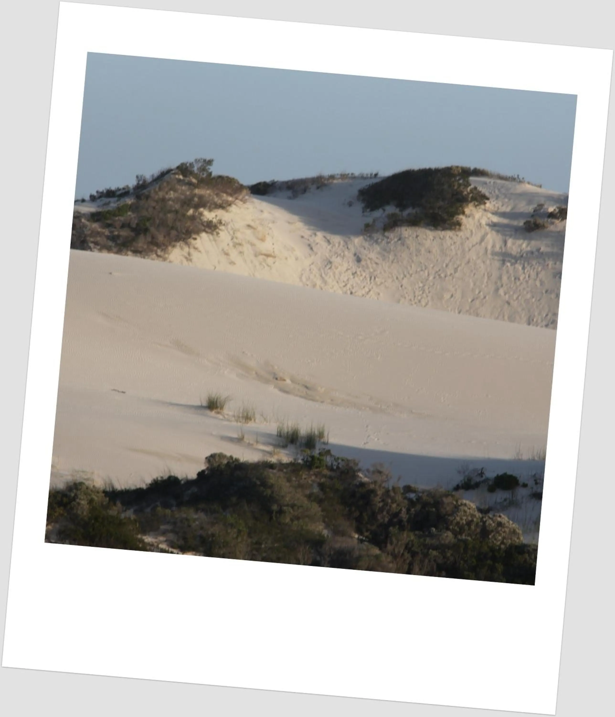 Natural landscape in BlueSky Arniston Guest House