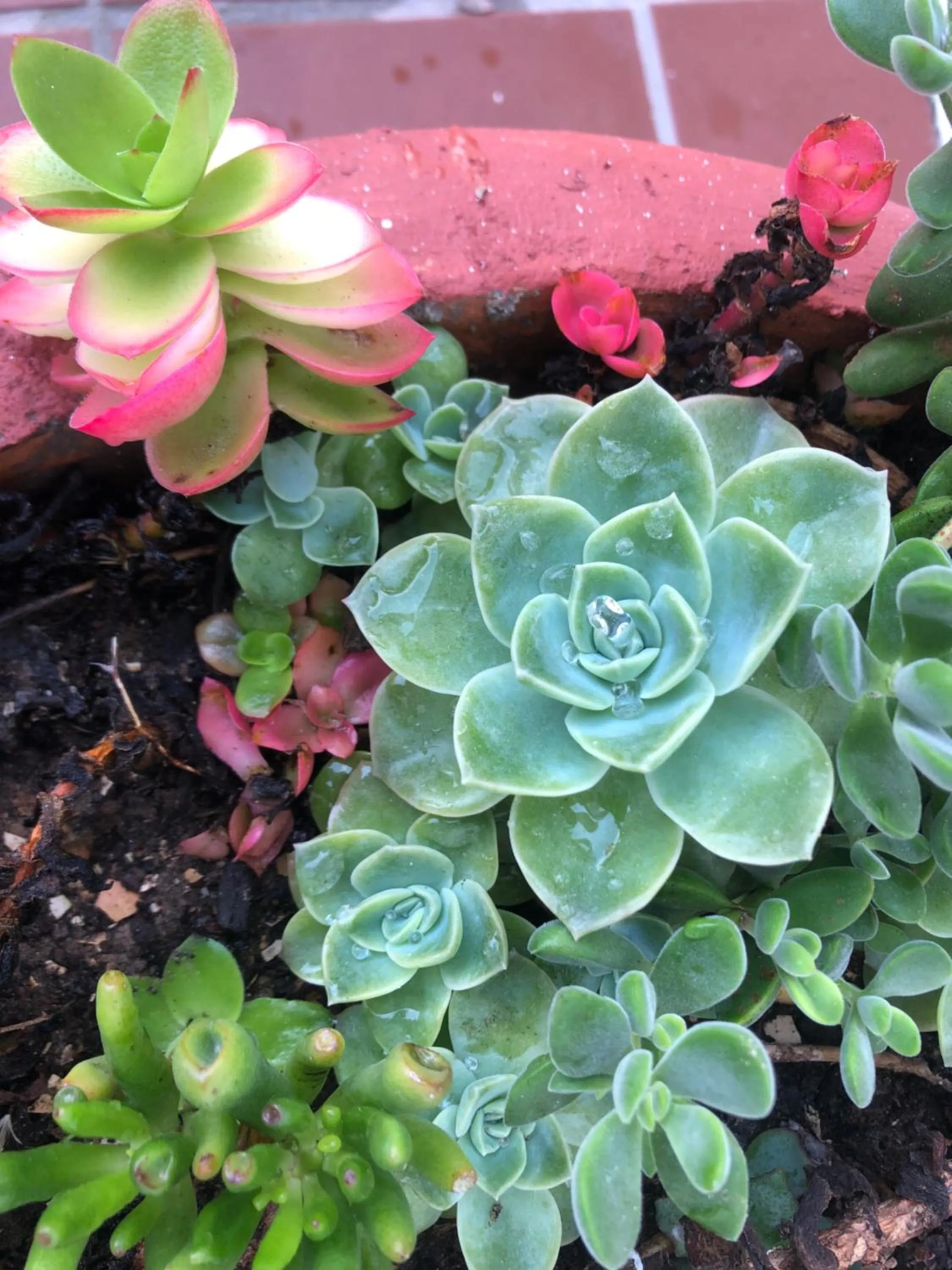Inner courtyard view in BlueSky Arniston Guest House
