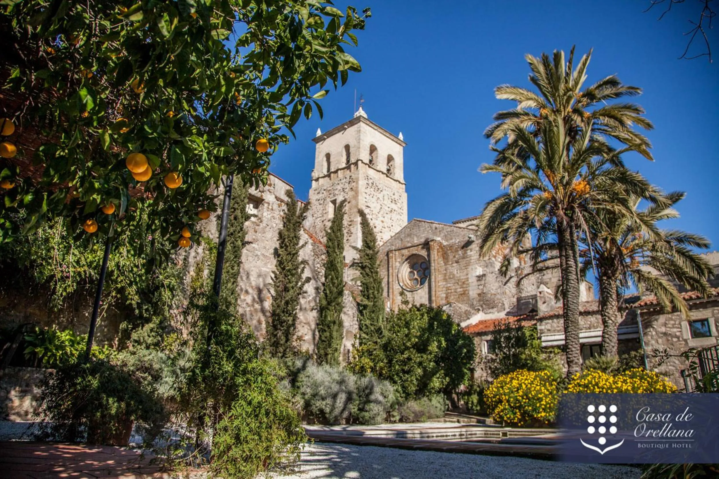 Garden in Hotel Boutique Casa de Orellana