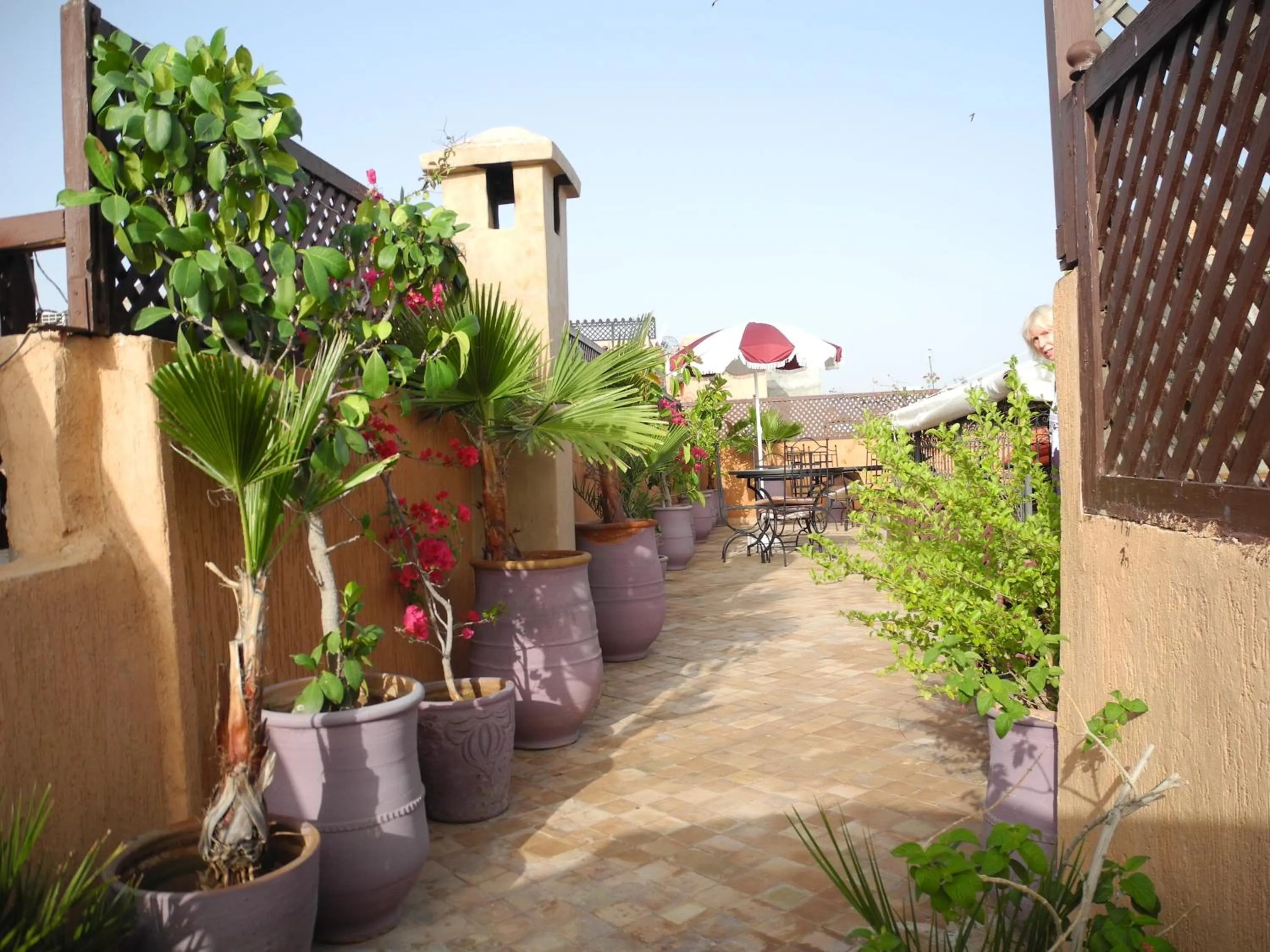 Garden in Riad Linda