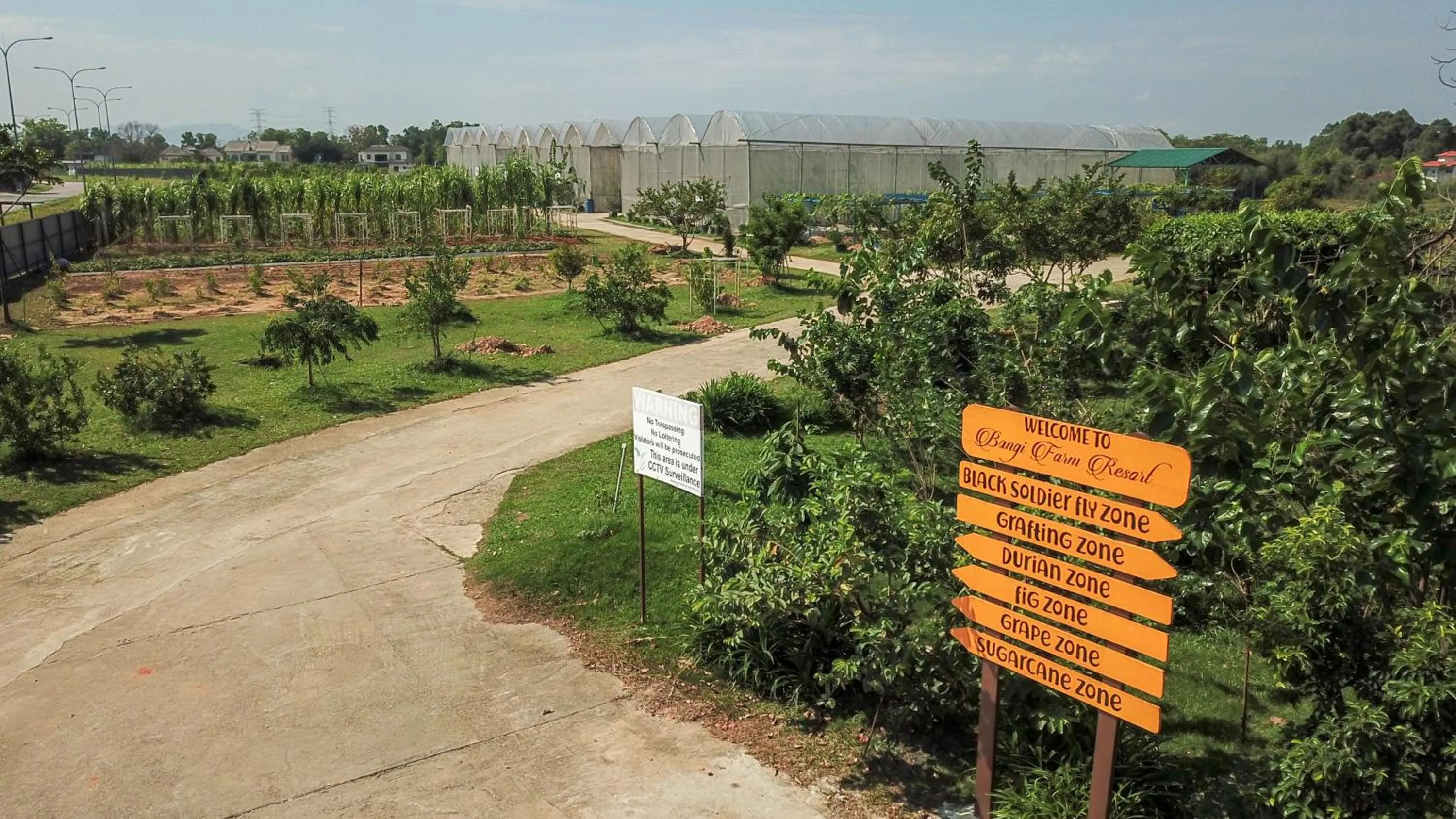 Garden view in Bangi Resort Hotel