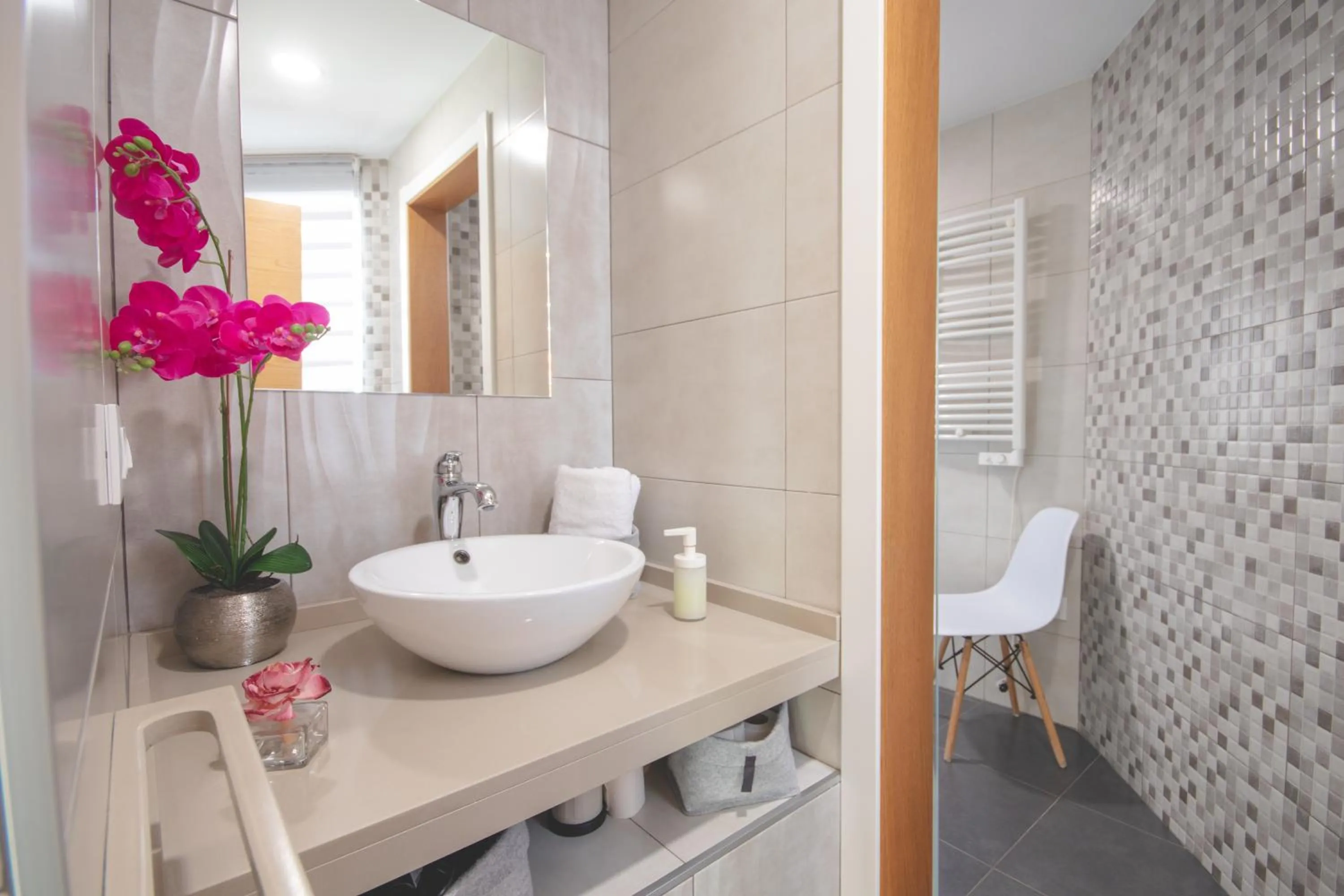 Apartamentos Coso de San Albin