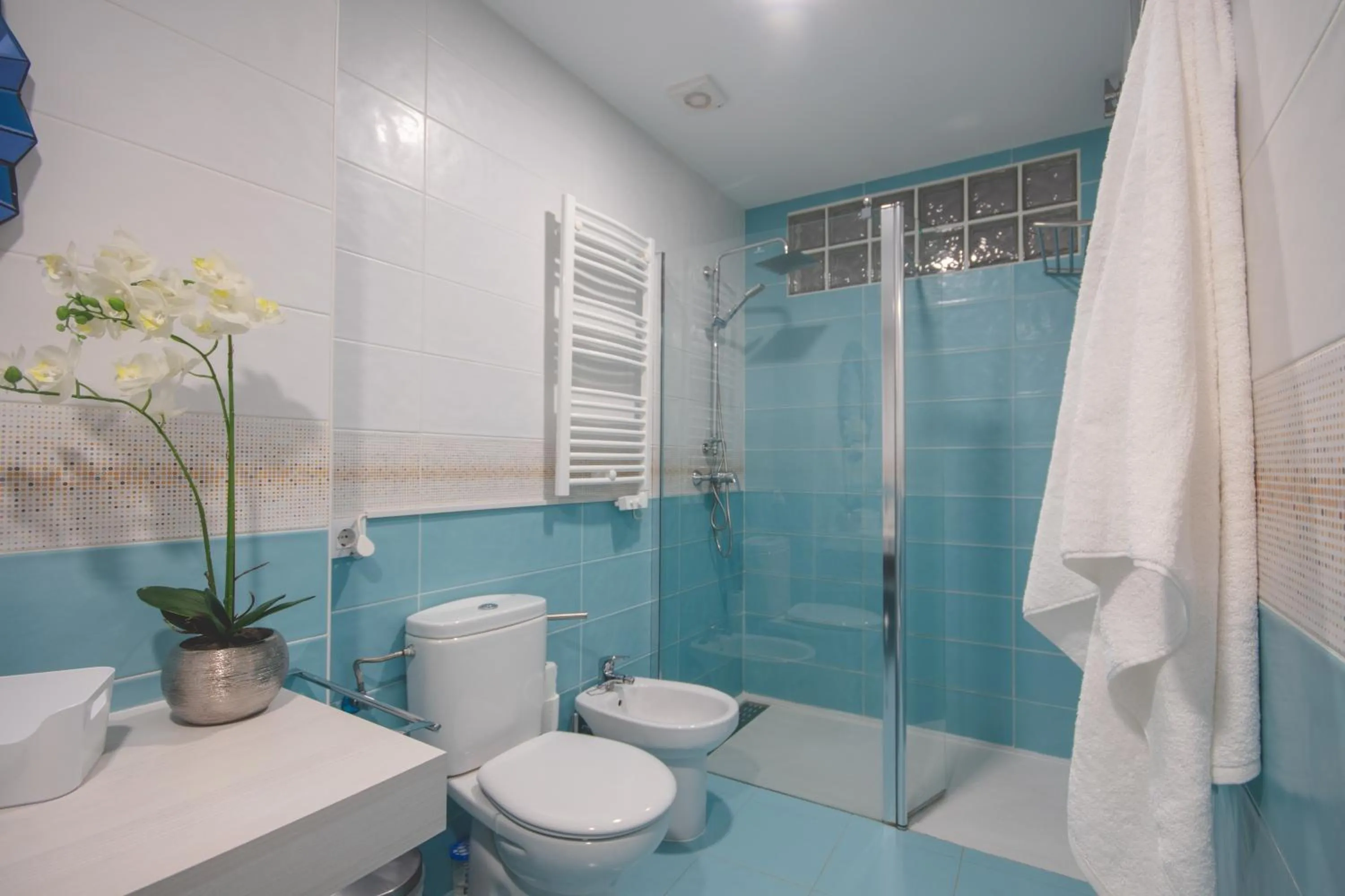 Apartamentos Coso de San Albin