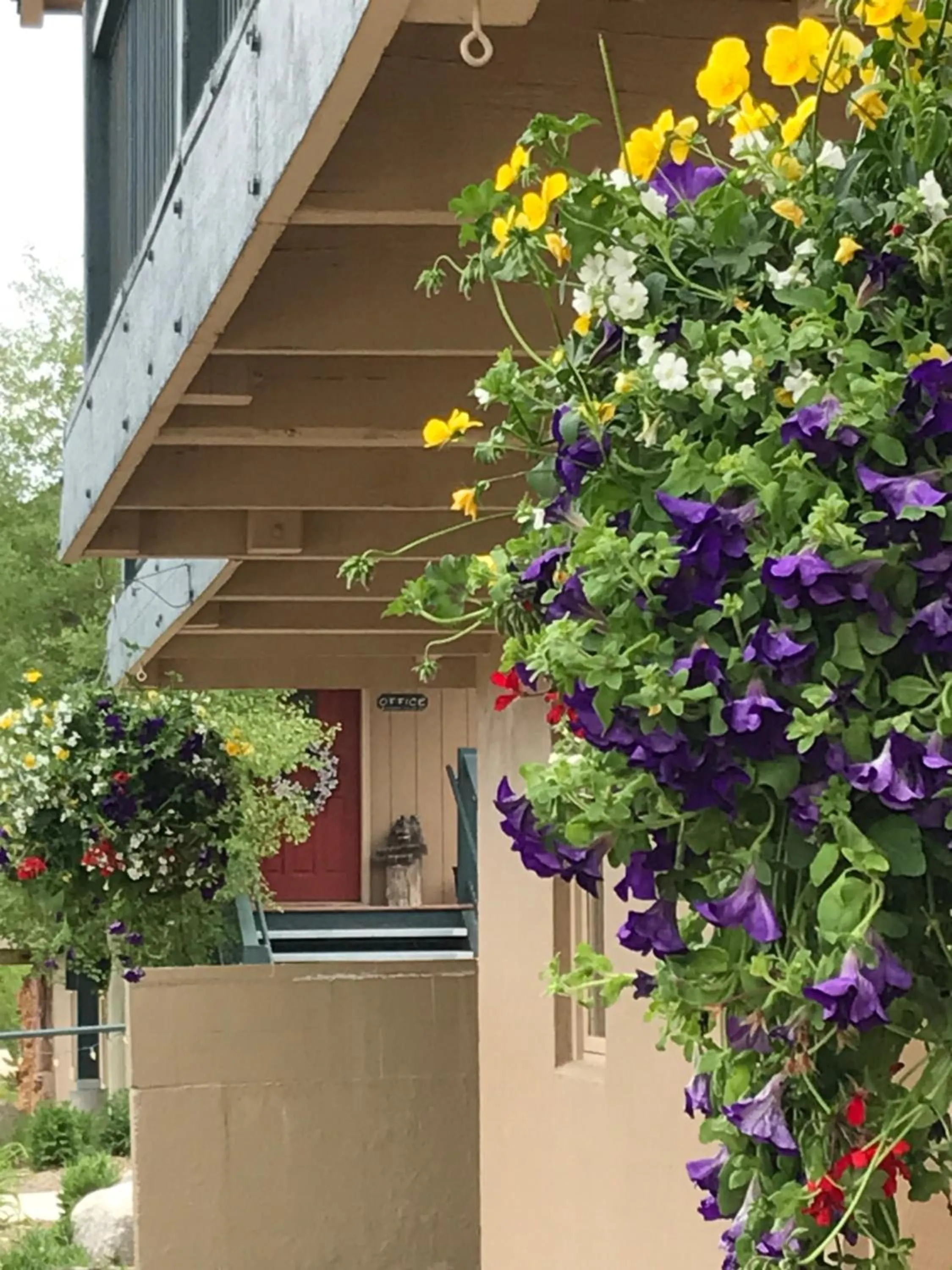 View (from property/room) in Hideaway Mountain Lodge