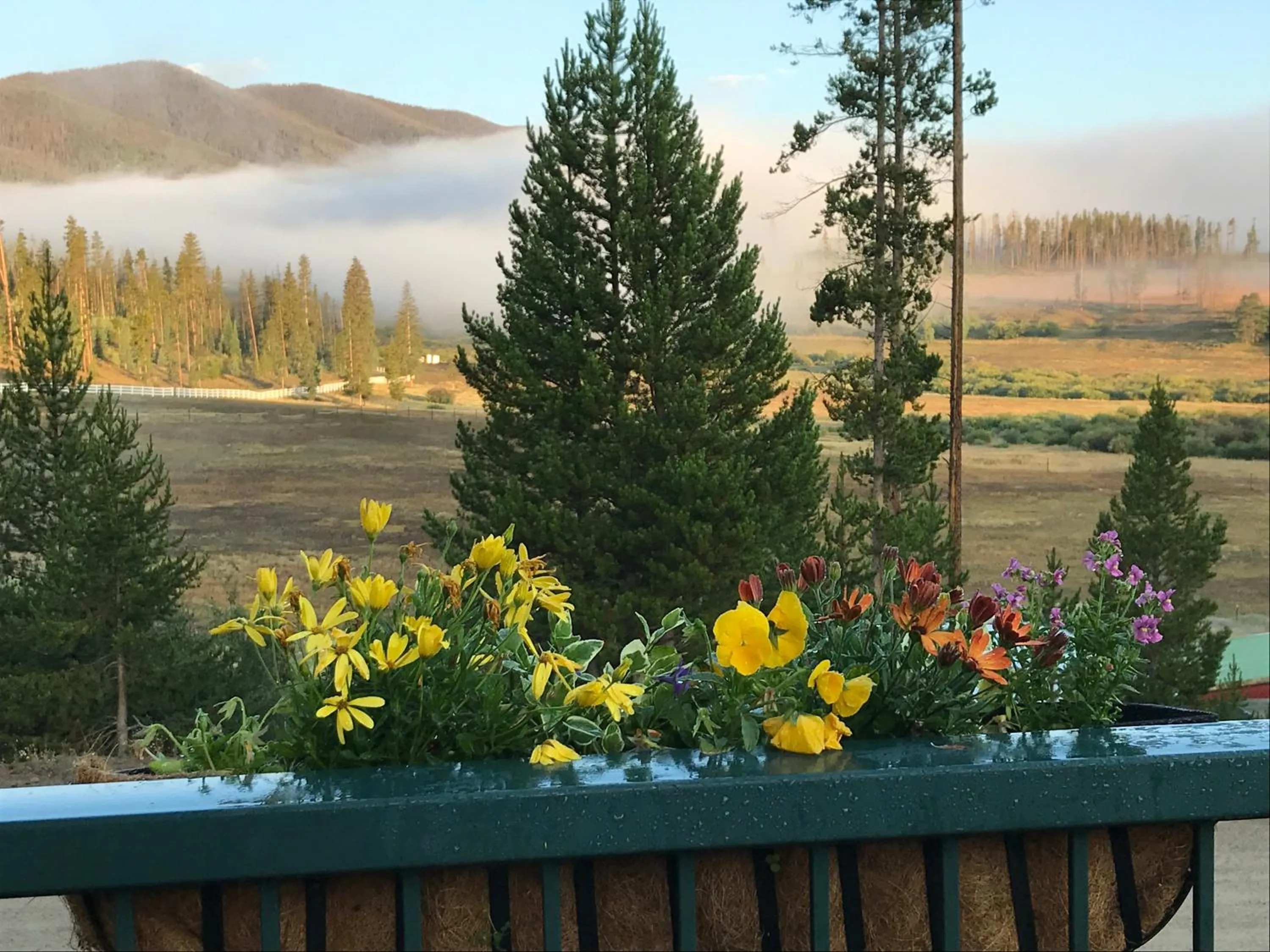 Mountain view in Hideaway Mountain Lodge