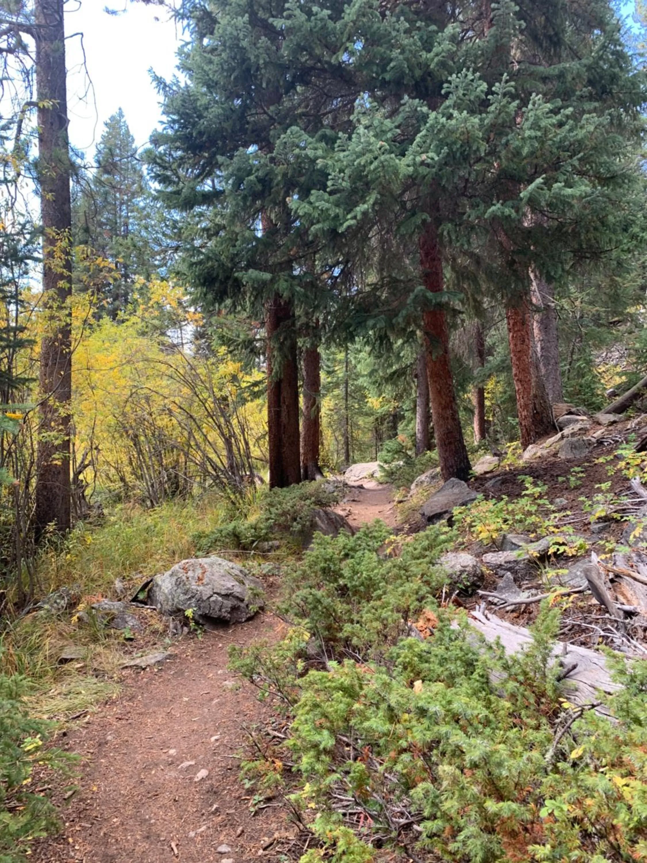 Natural landscape in Hideaway Mountain Lodge