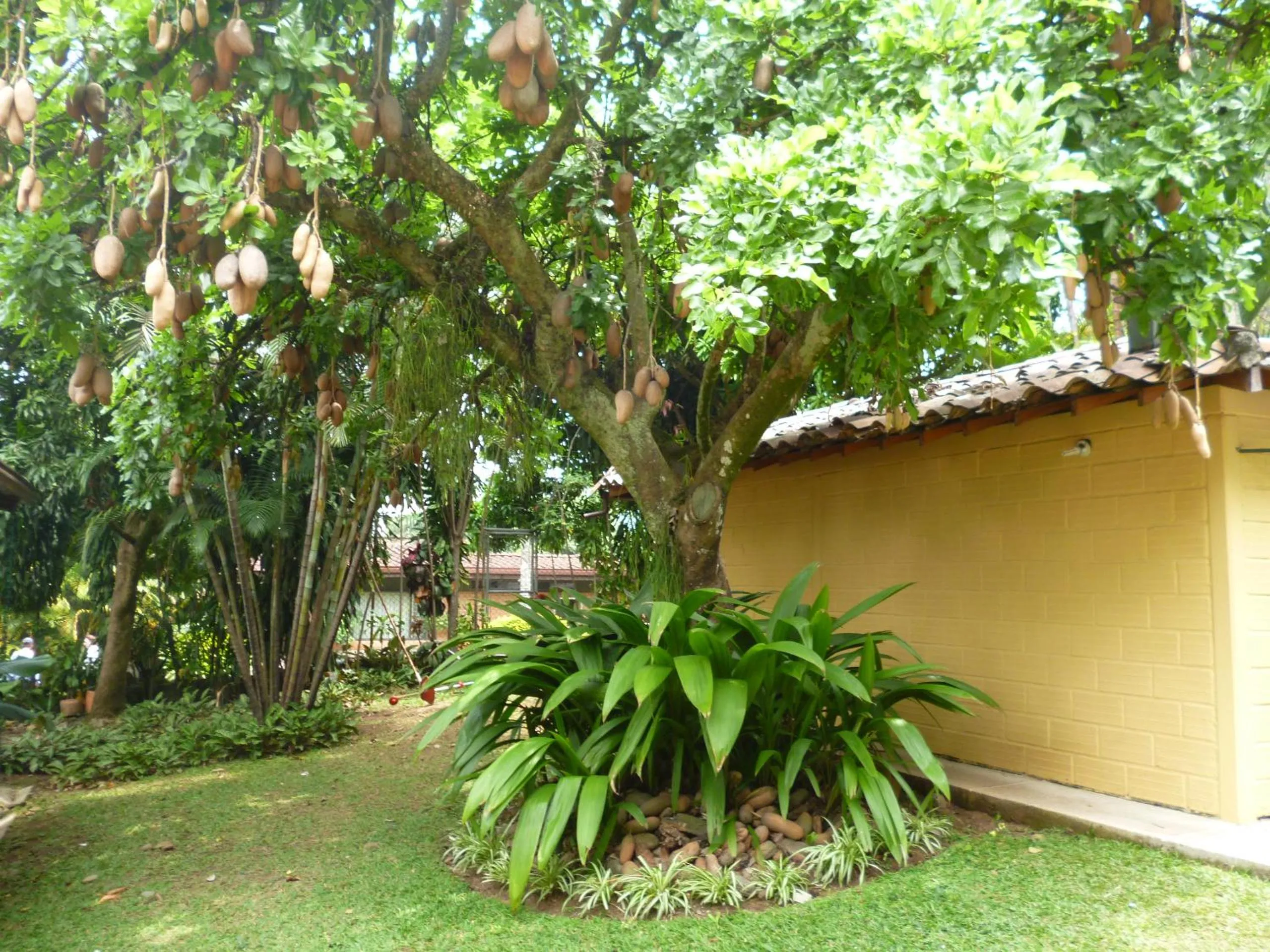 Hotel Poblado Campestre