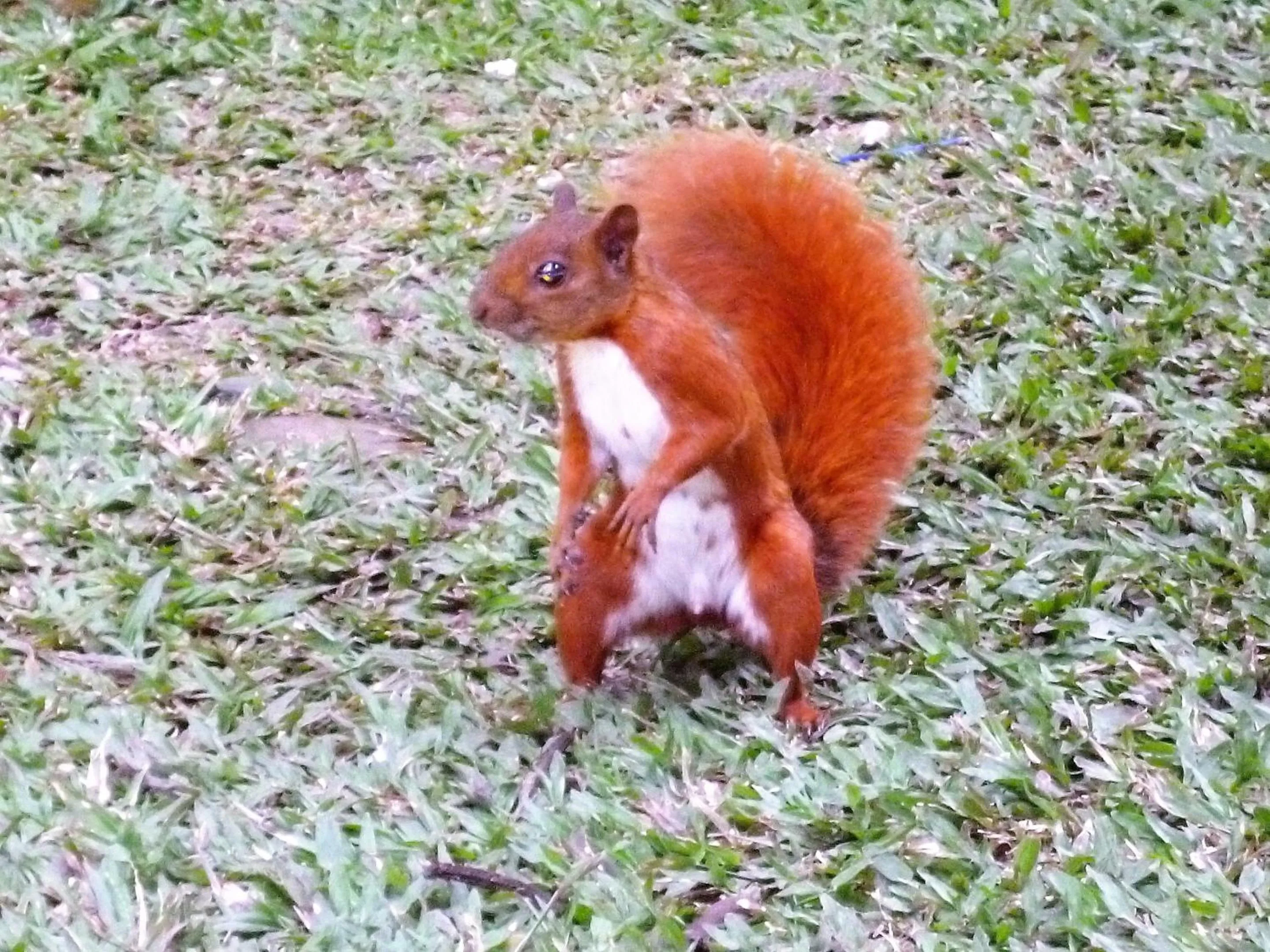 Hotel Poblado Campestre