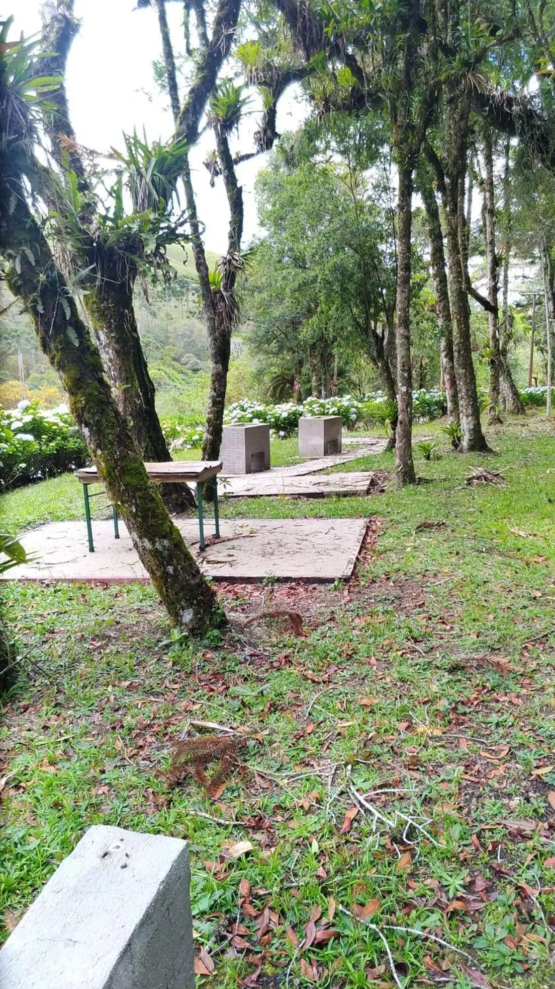 View (from property/room) in Plaza Inn Week Inn