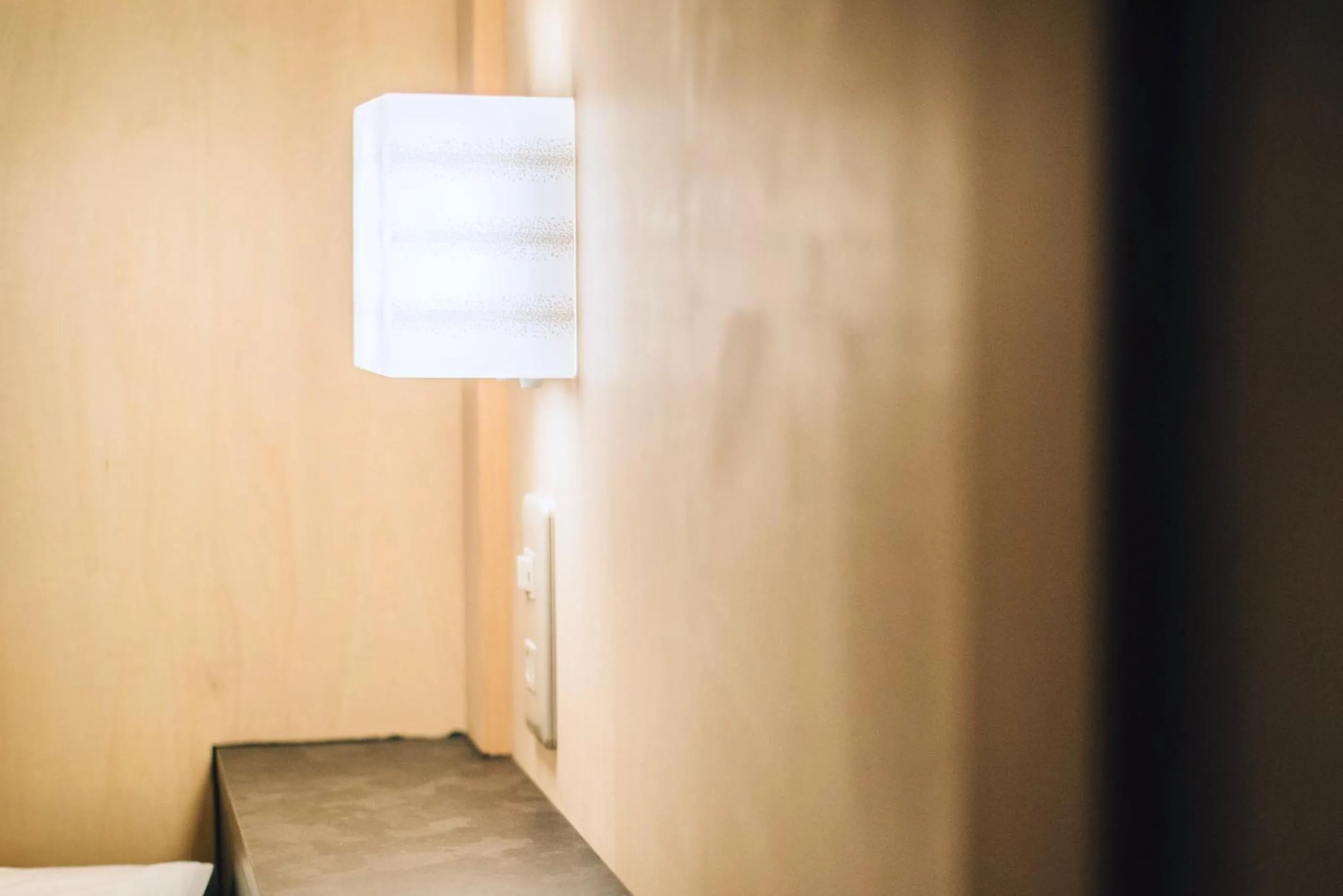 Decorative detail in TOKYO-W-INN Asakusa