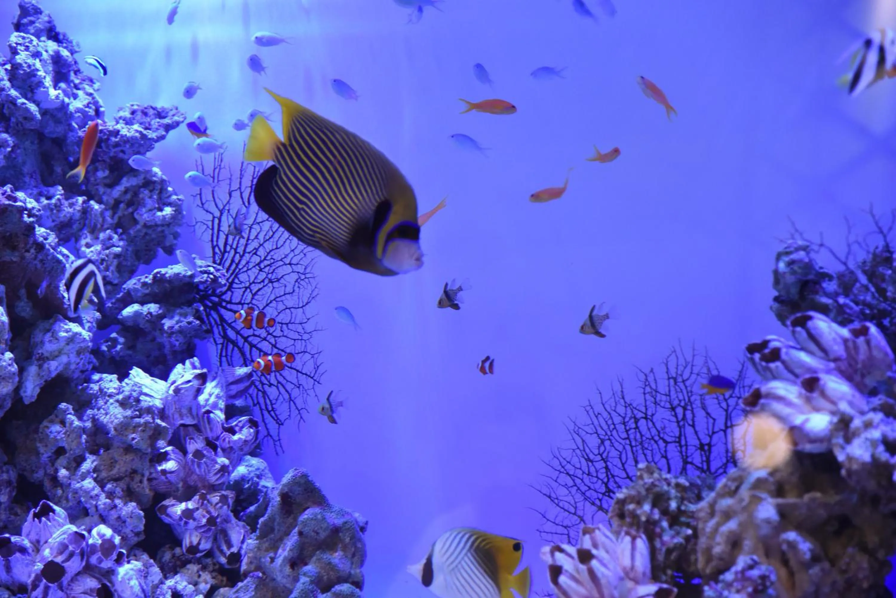 Lounge or bar in Hotel The Gate Kumamoto