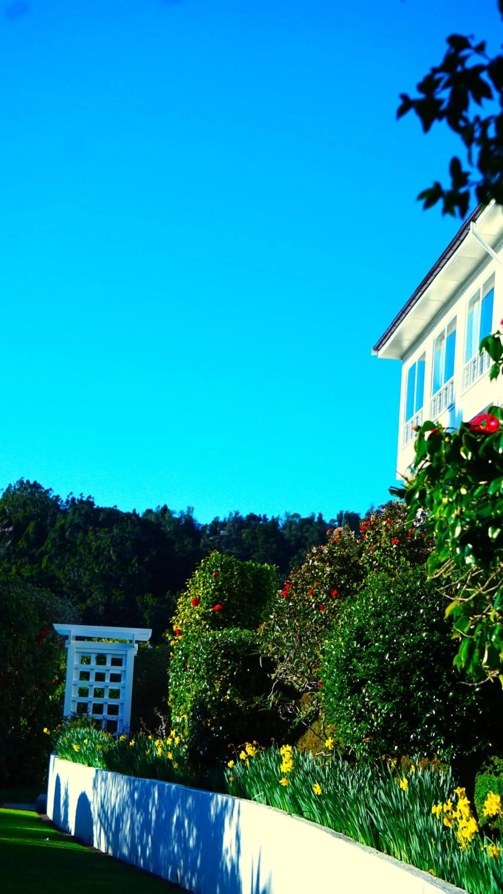 Waitakere Resort & Spa