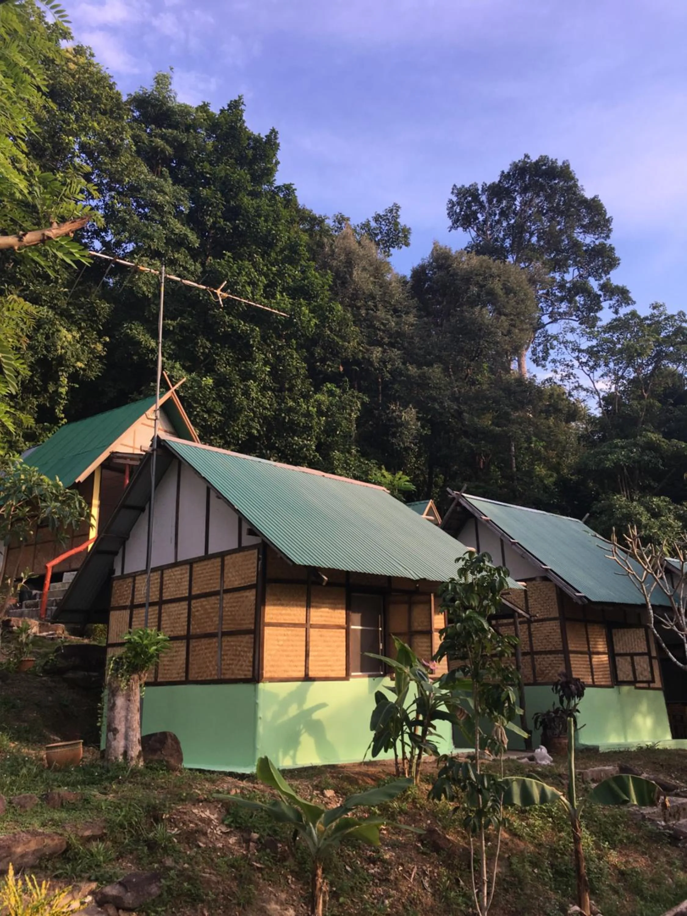 TP Hut Bungalows