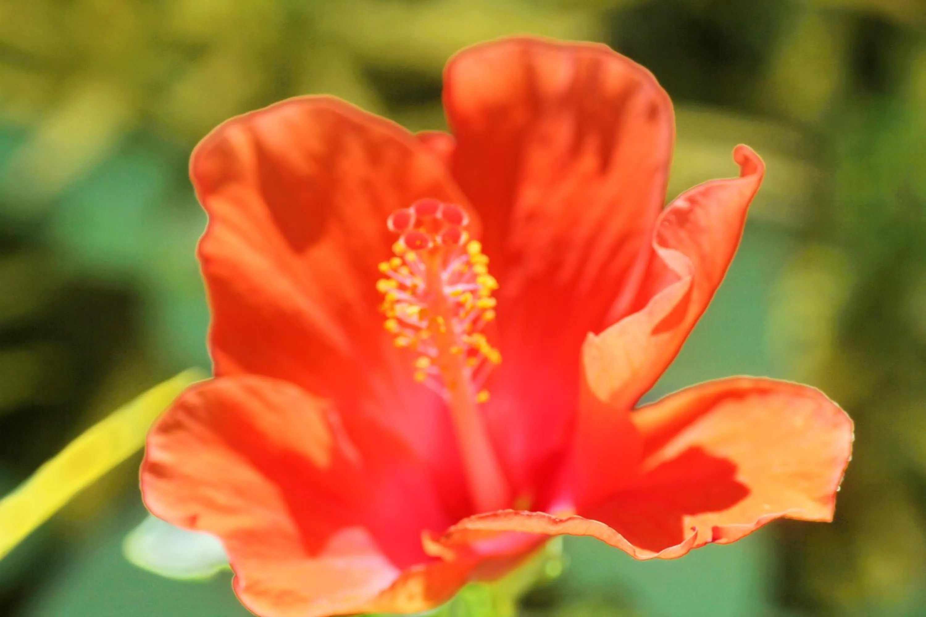 Property building in TP Hut Bungalows