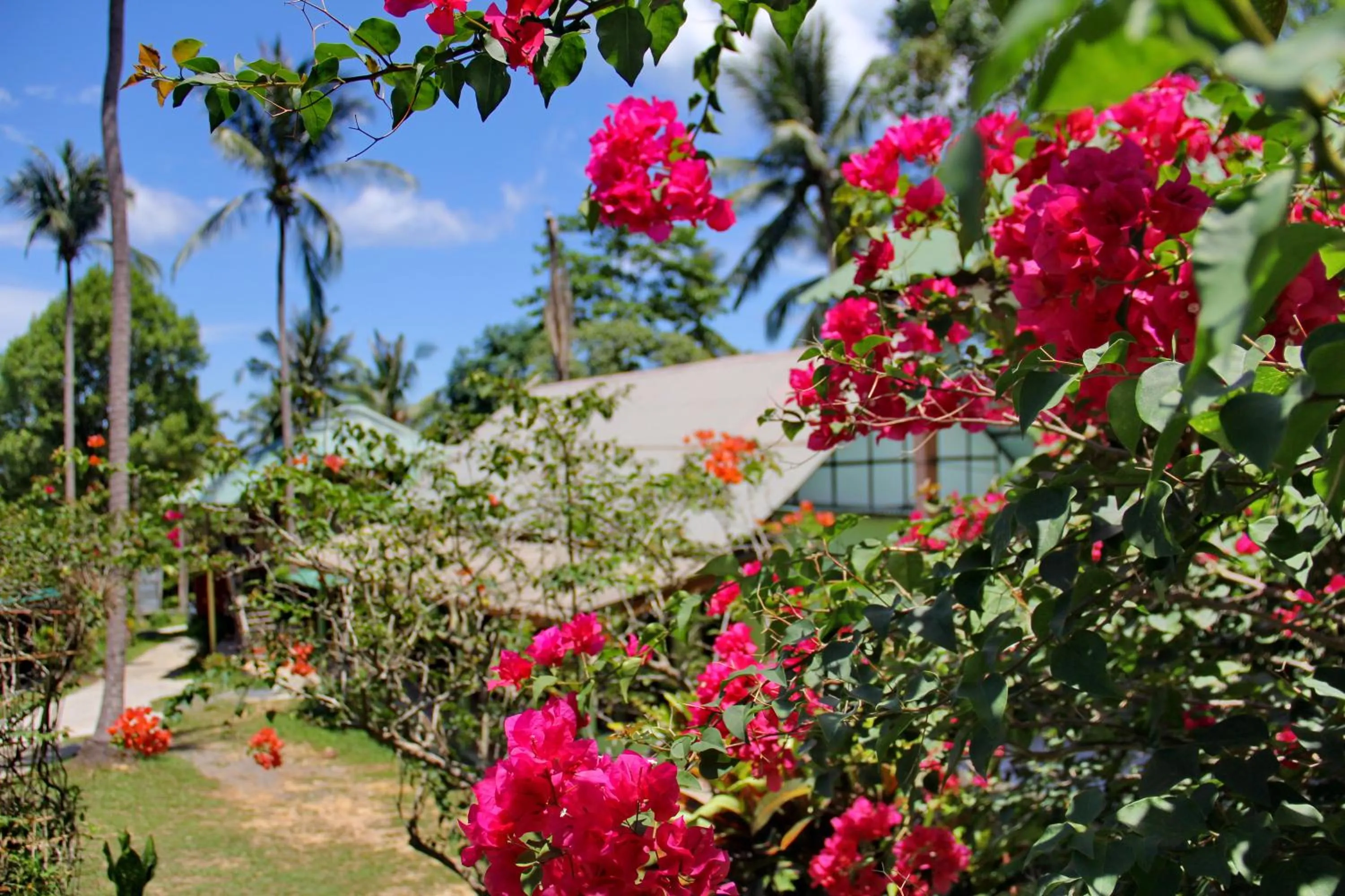 Property building in TP Hut Bungalows
