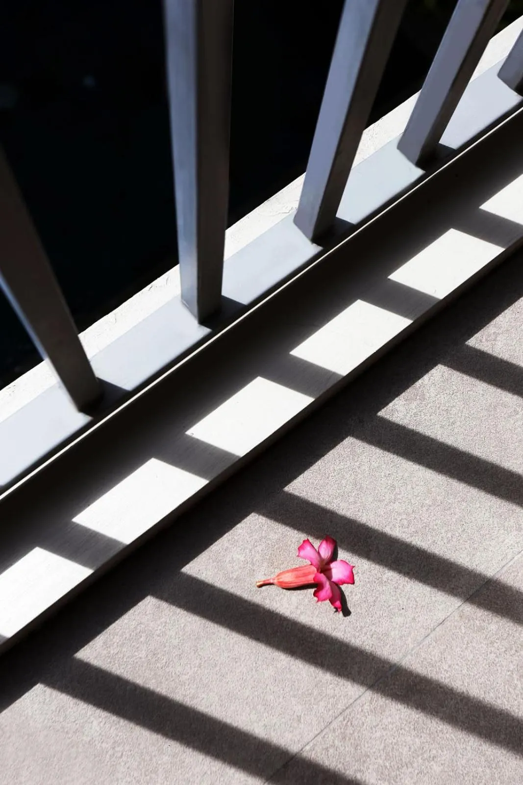 Day in M Pavilion - Lippo Karawaci