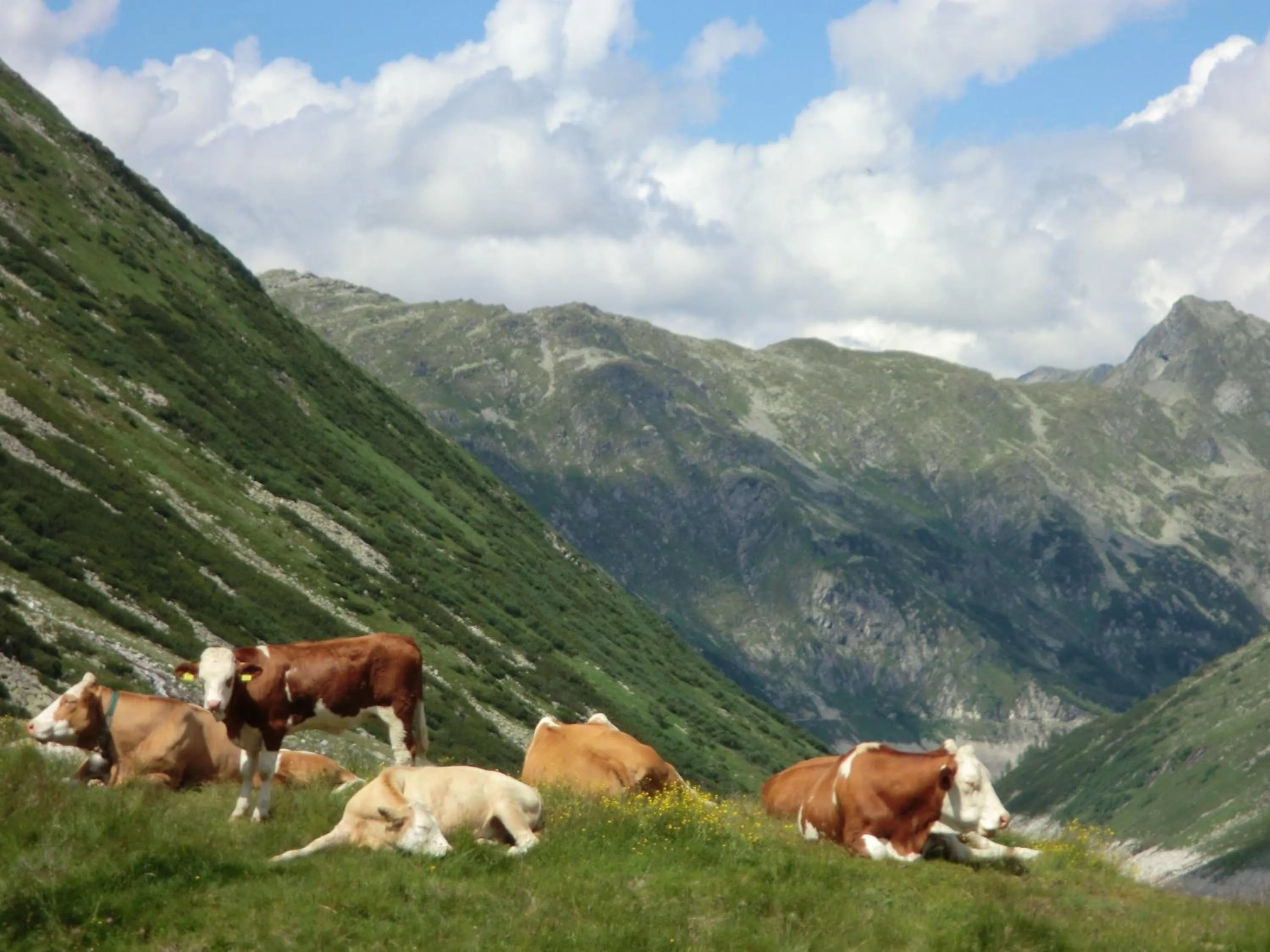 Area and facilities in Hotel Malteinerhof