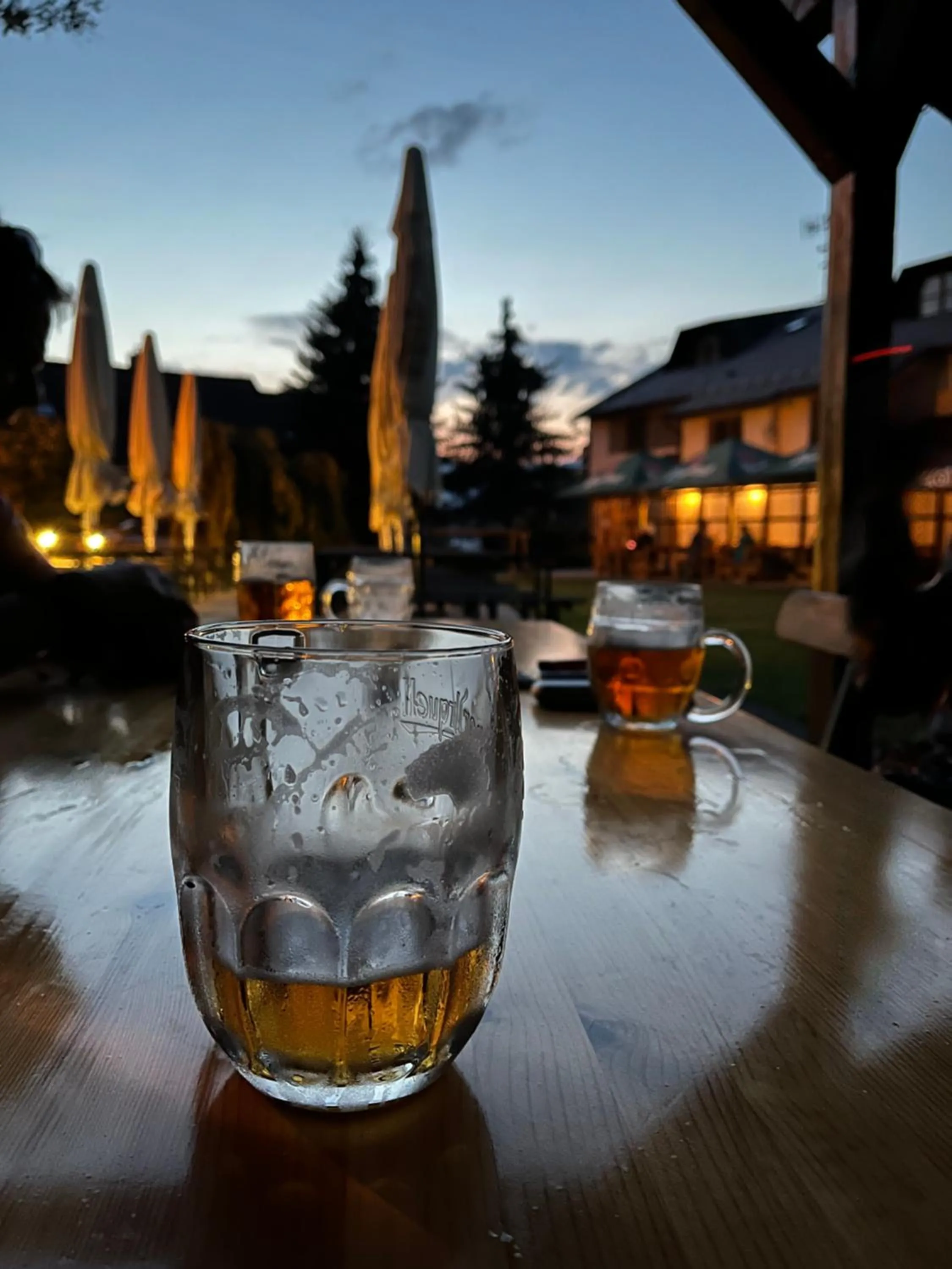 BBQ facilities in Hotel STARÝ MLÝN