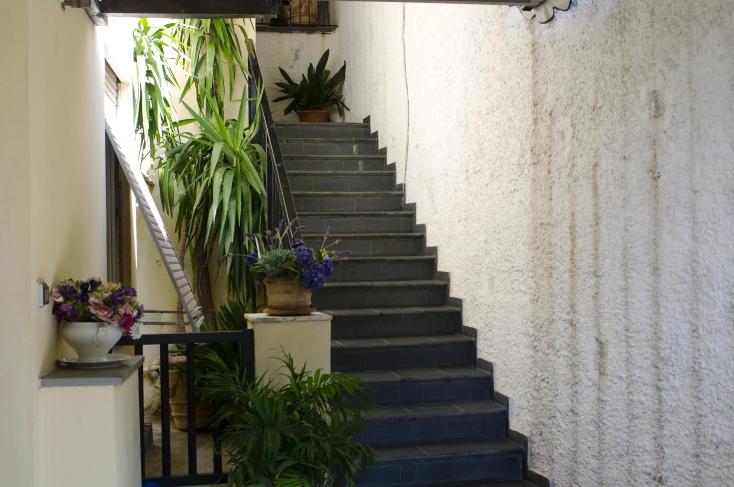 Other in Hotel Villa Argentina